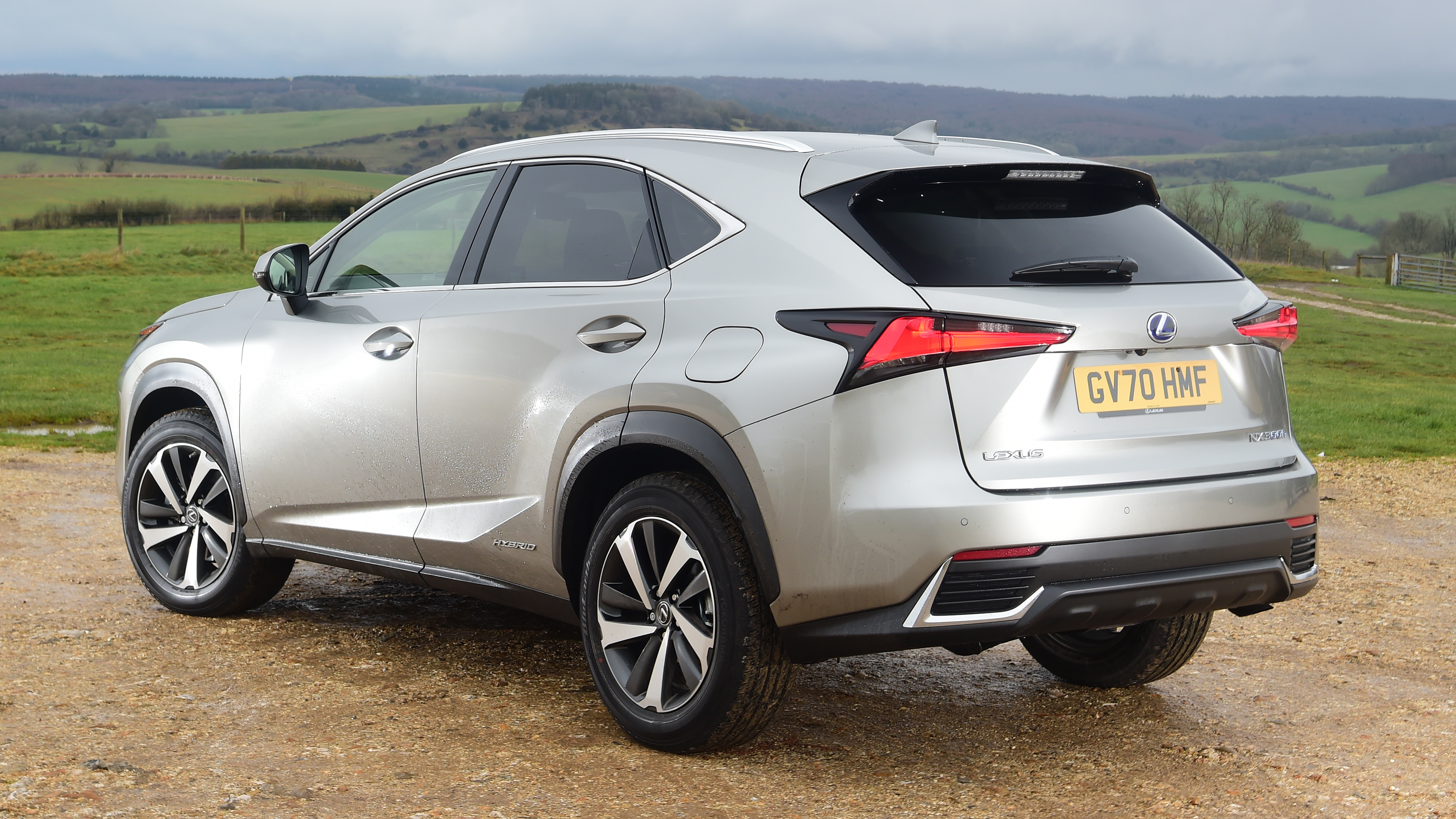 Lexus NX - rear
