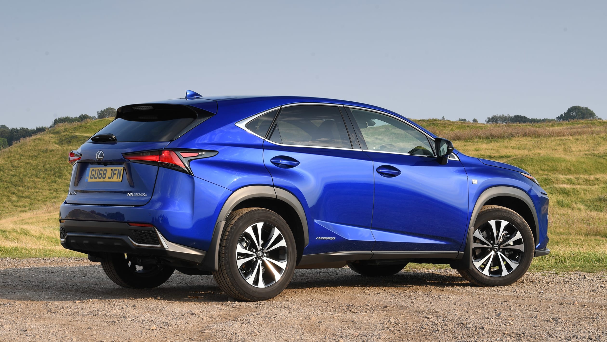 Used Lexus NX - rear static