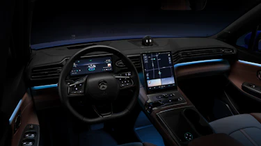 Nio interior
