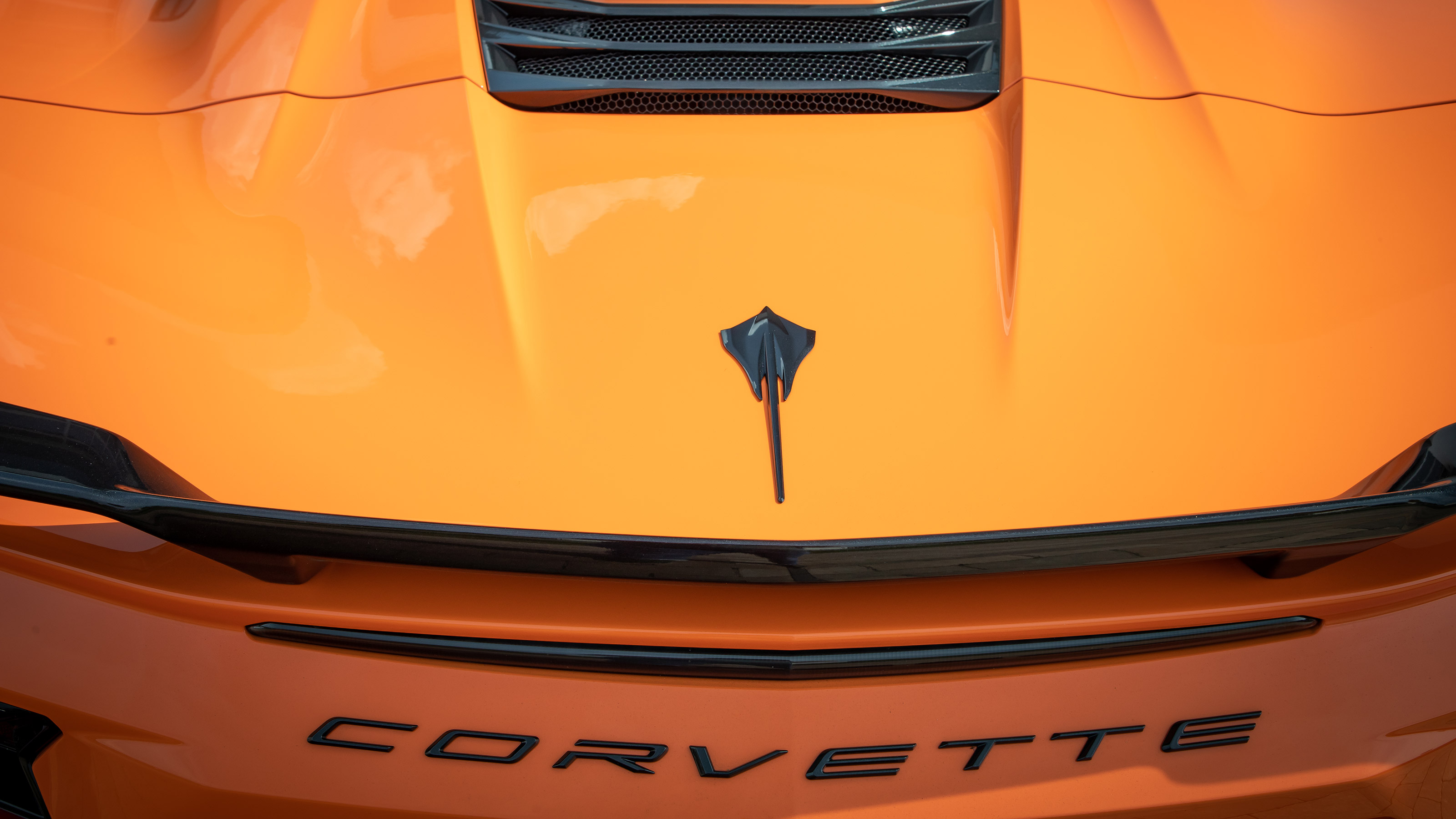 Chevrolet Corvette Convertible - rear detail