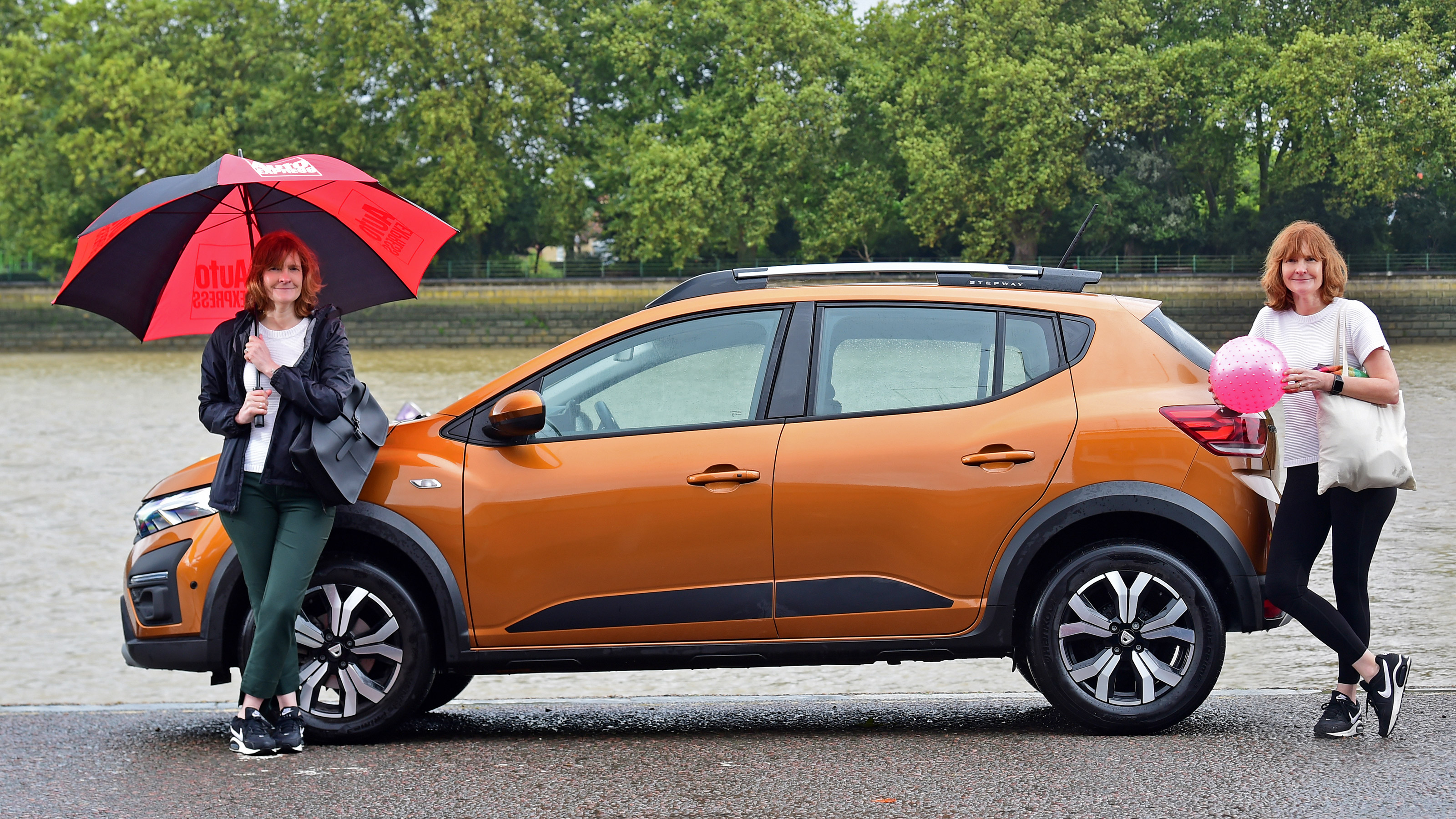 Dacia Sandero Stepway long termer - second report header