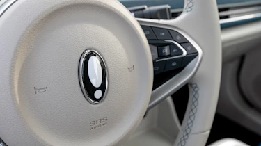 Ora Cat 01 - steering wheel