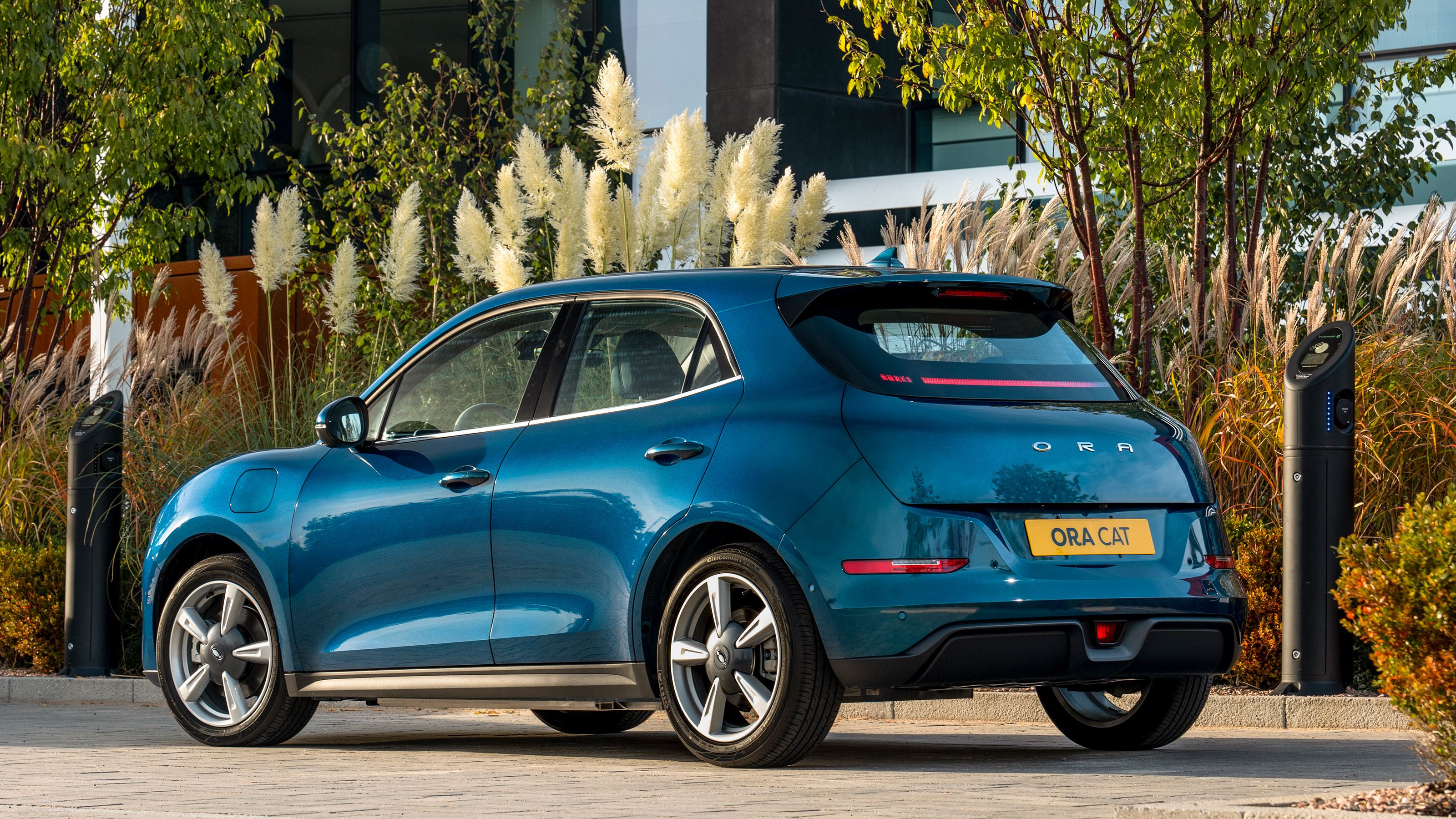 Ora Cat 01 - rear