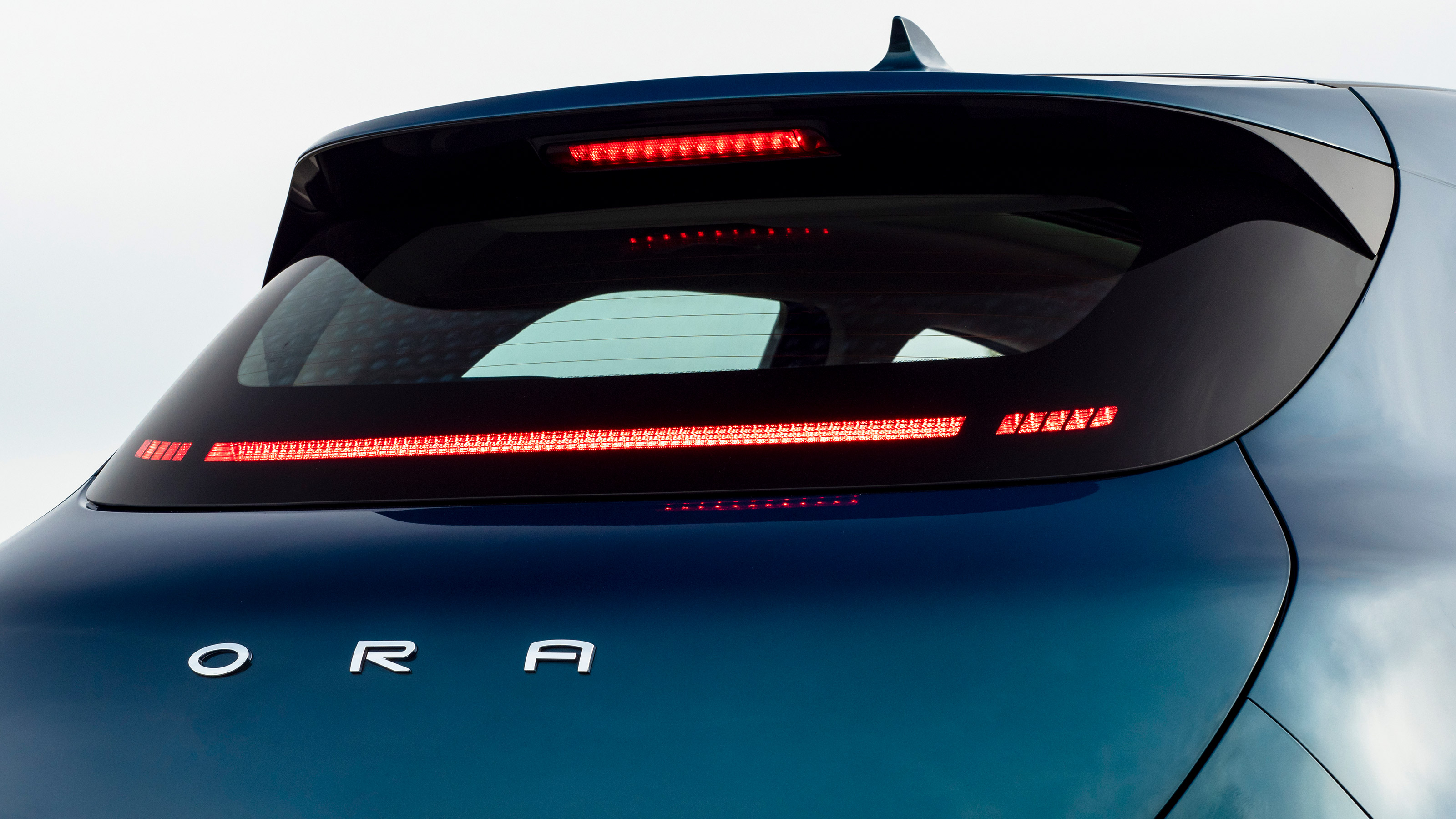 Ora Cat 01 - rear detail