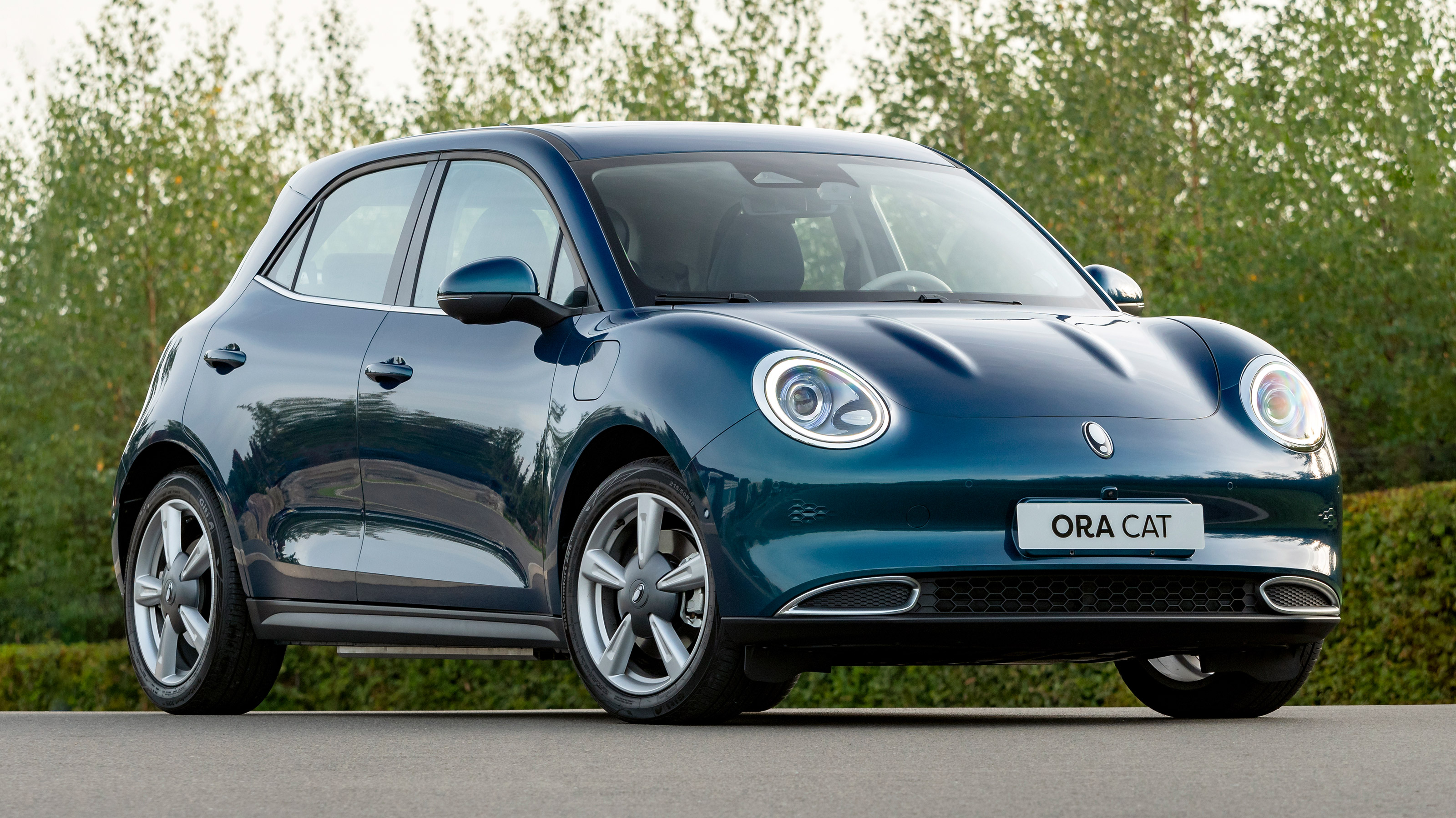 Ora Cat 01 - front