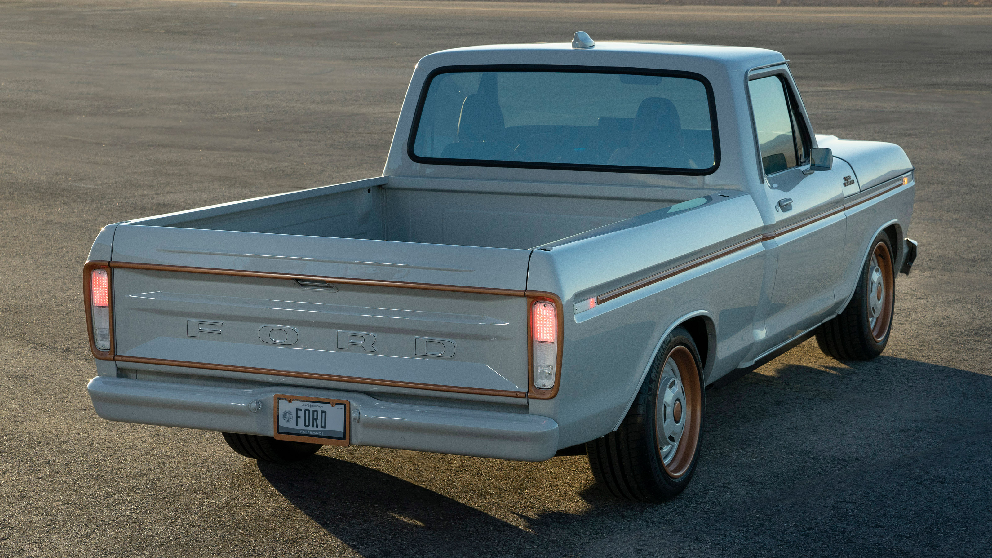 Ford F-100 Eluminator - rear