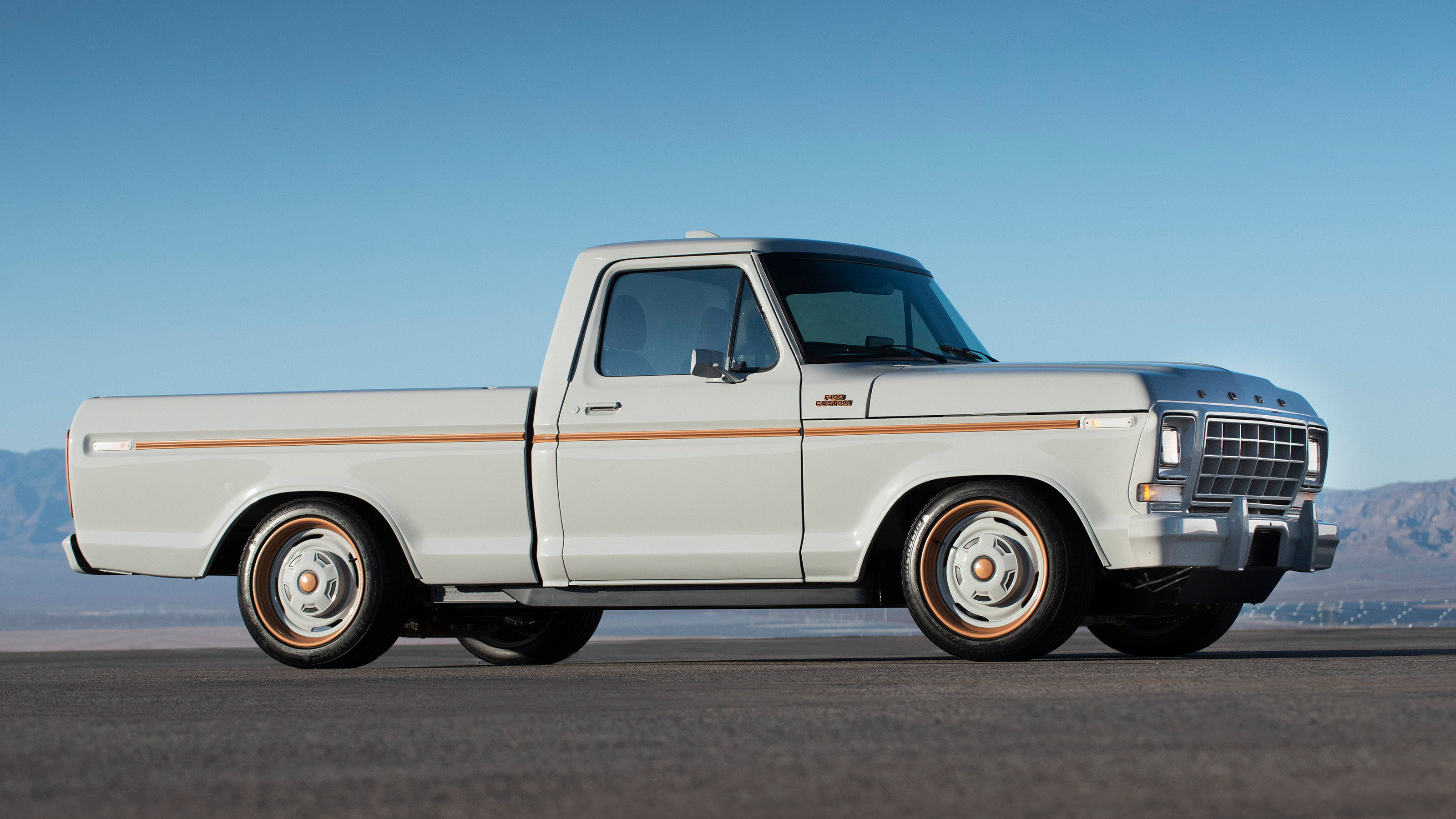 Ford F-100 Eluminator - side