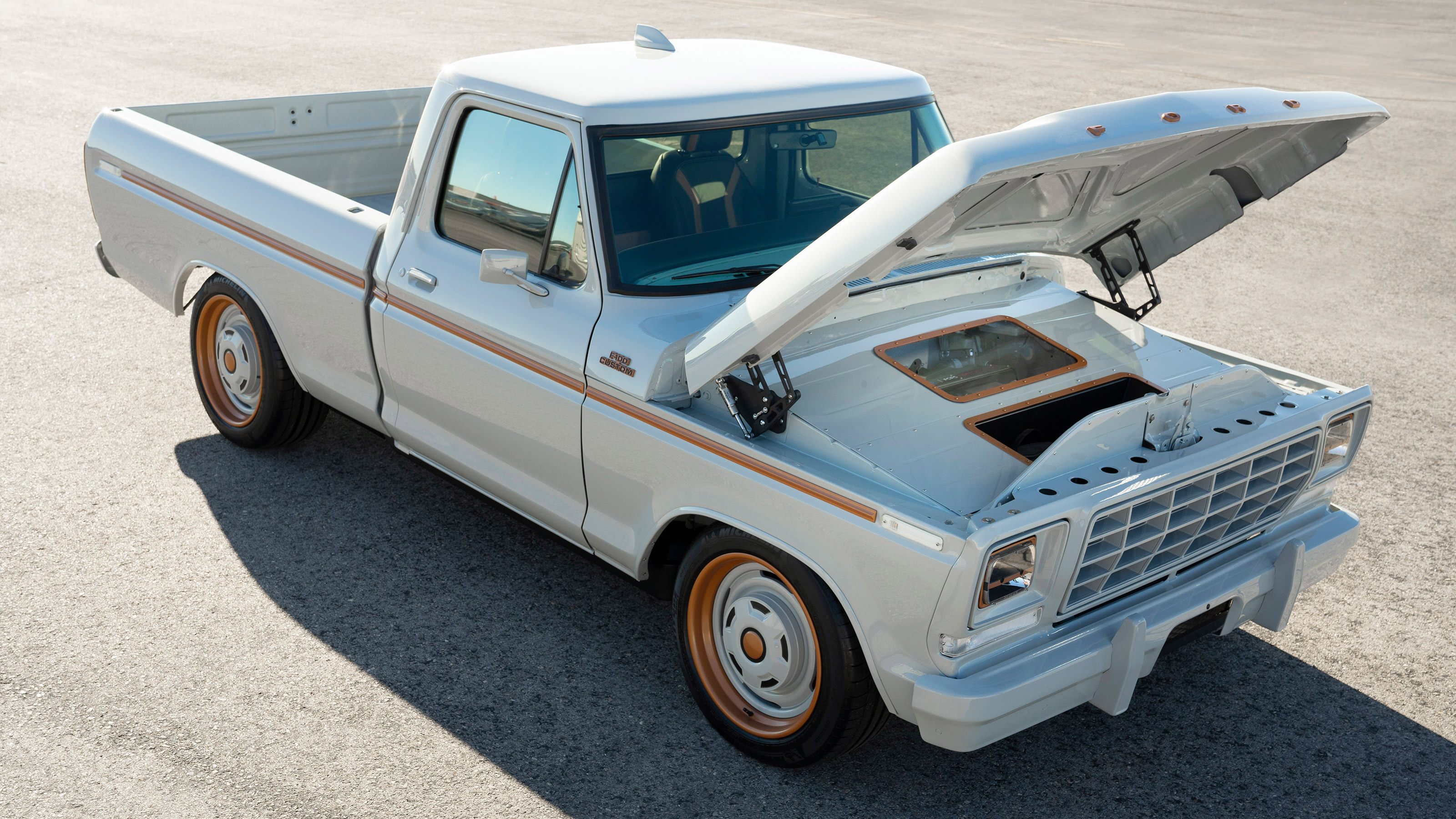 Ford F-100 Eluminator - front static