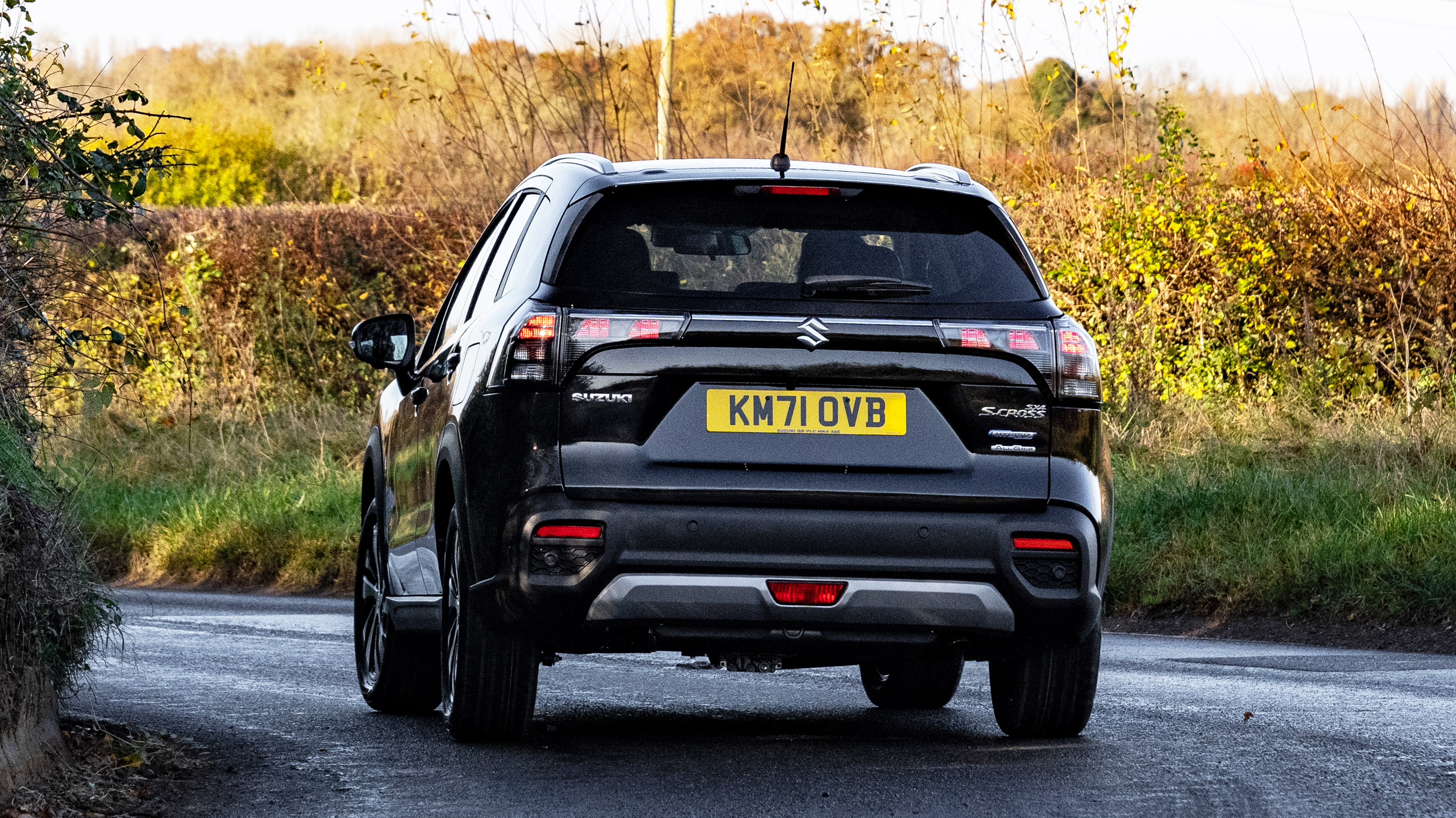 Suzuki S-Cross - rear cornering