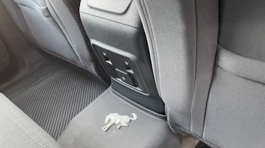 Ford Bronco - rear interior