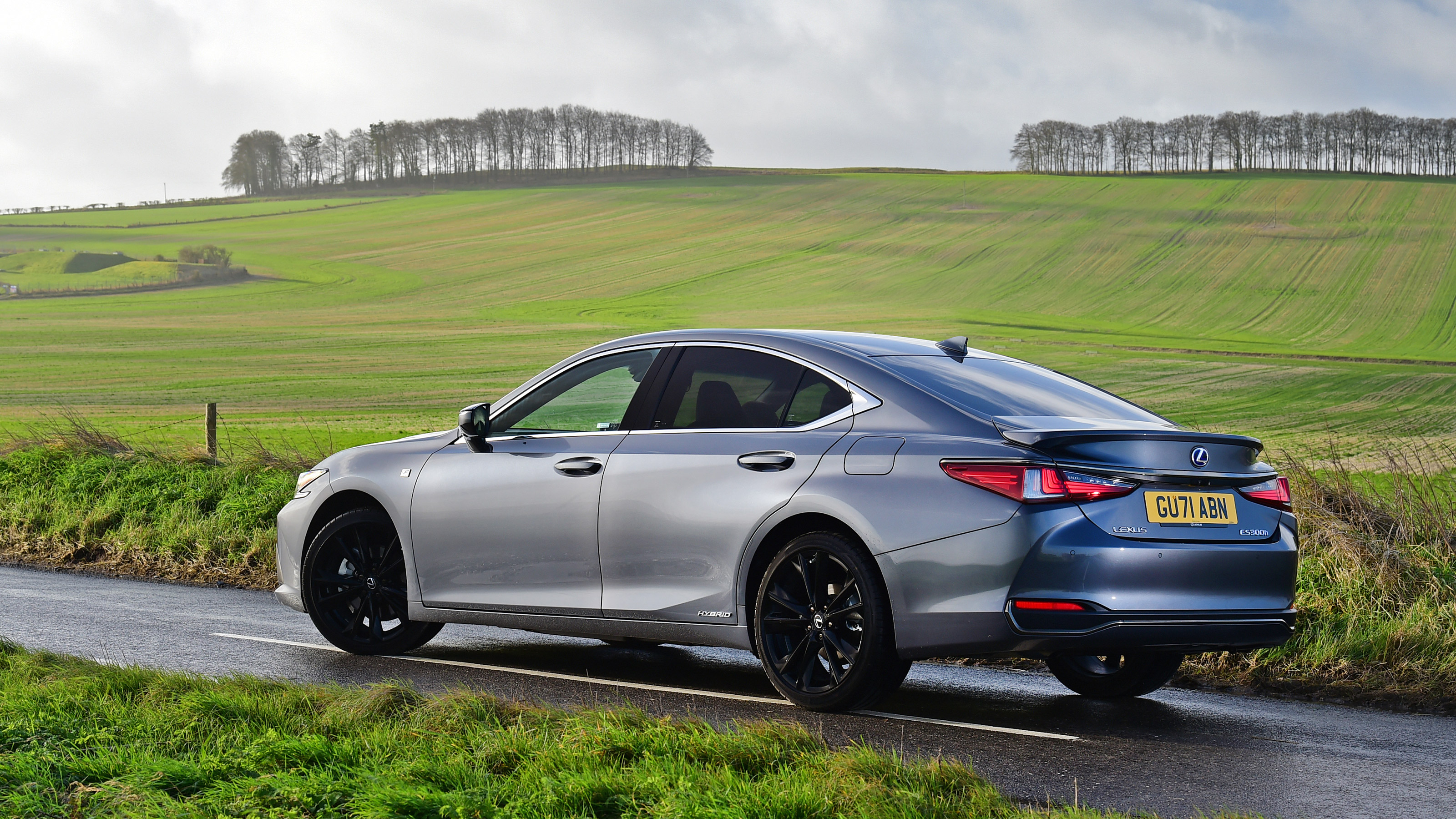 Lexus ES 300h - rear static