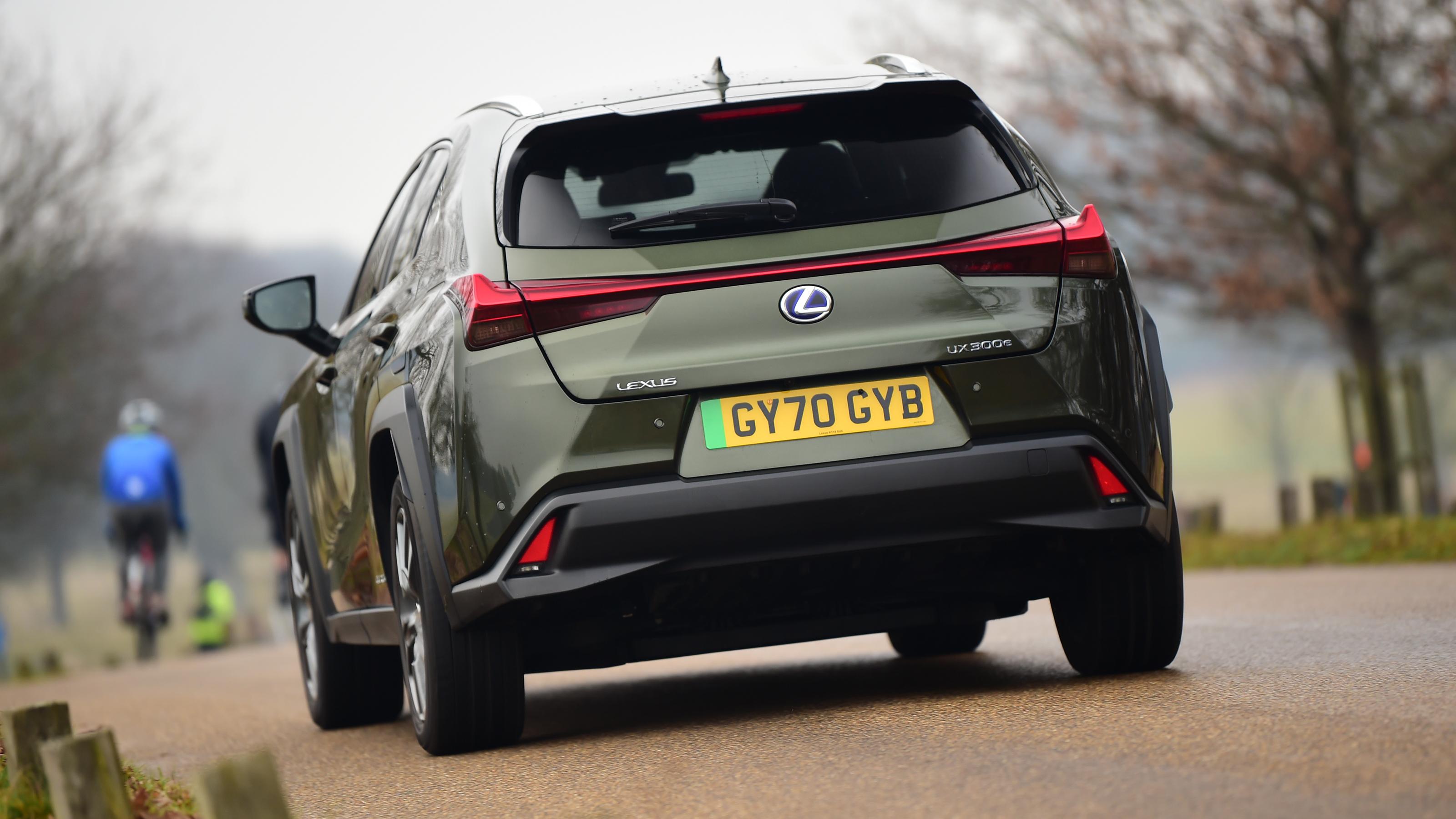 Lexus UX long term test - rear