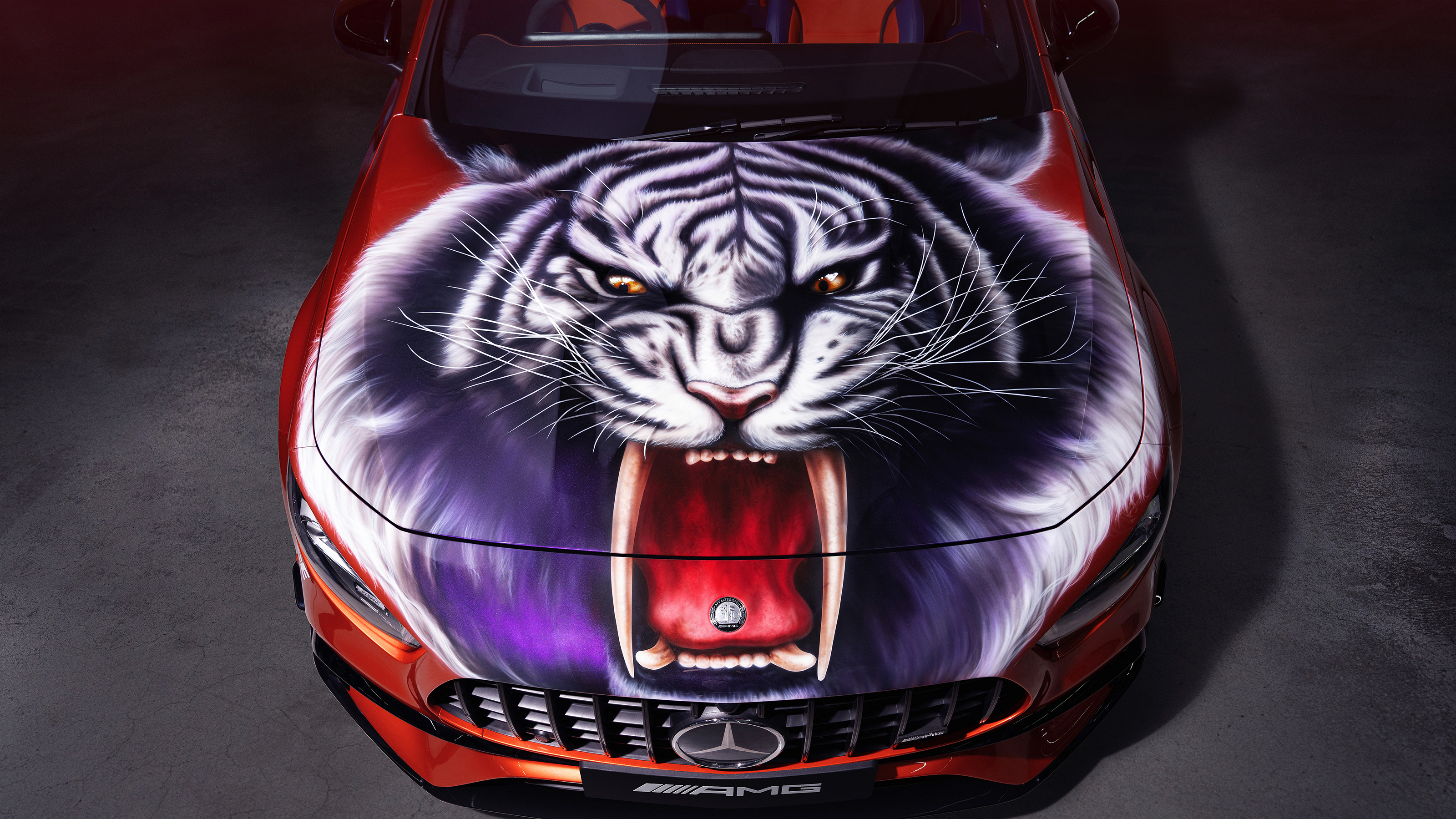 Mercedes AMG art cars - 3