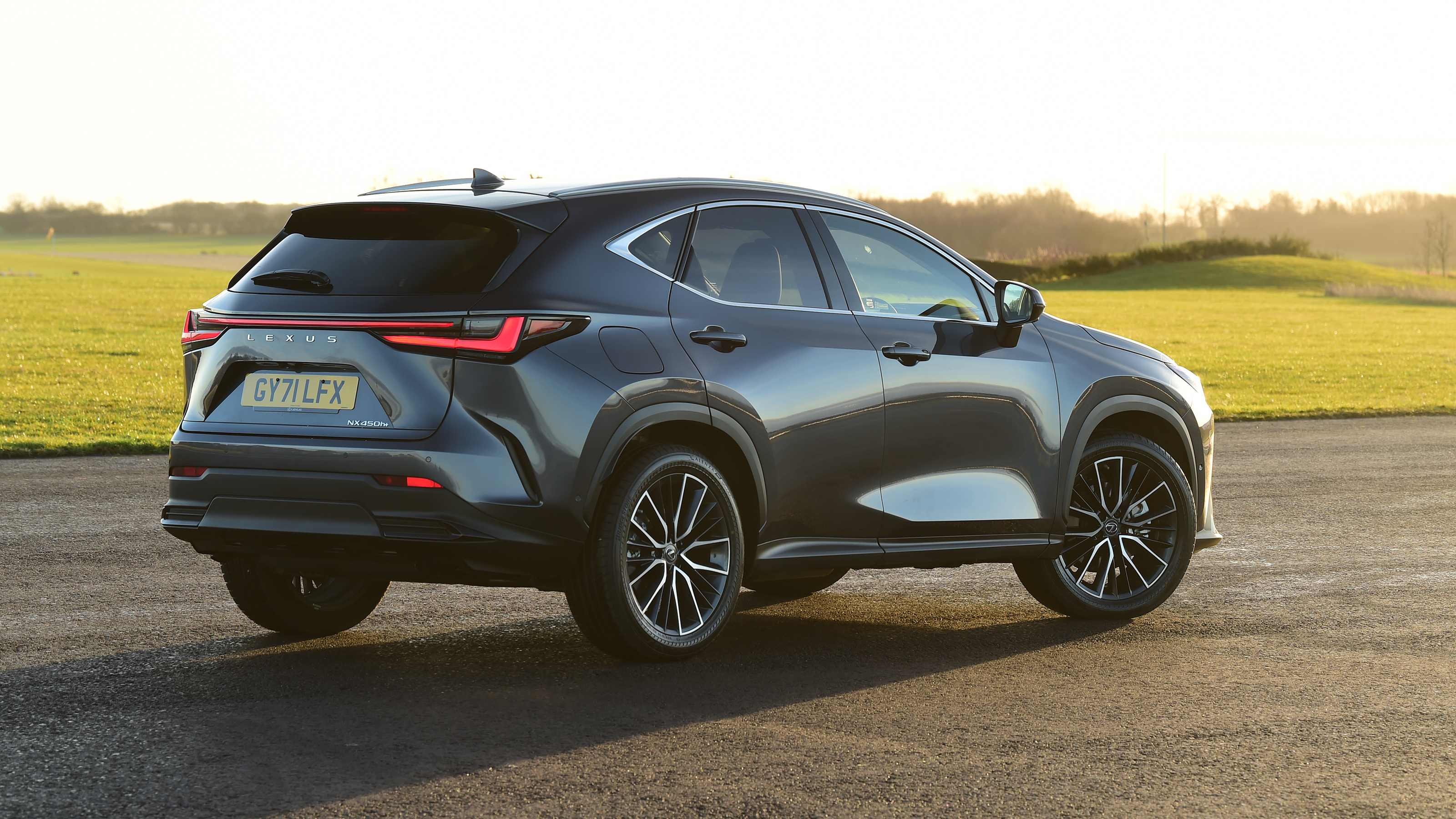 Lexus NX rear static