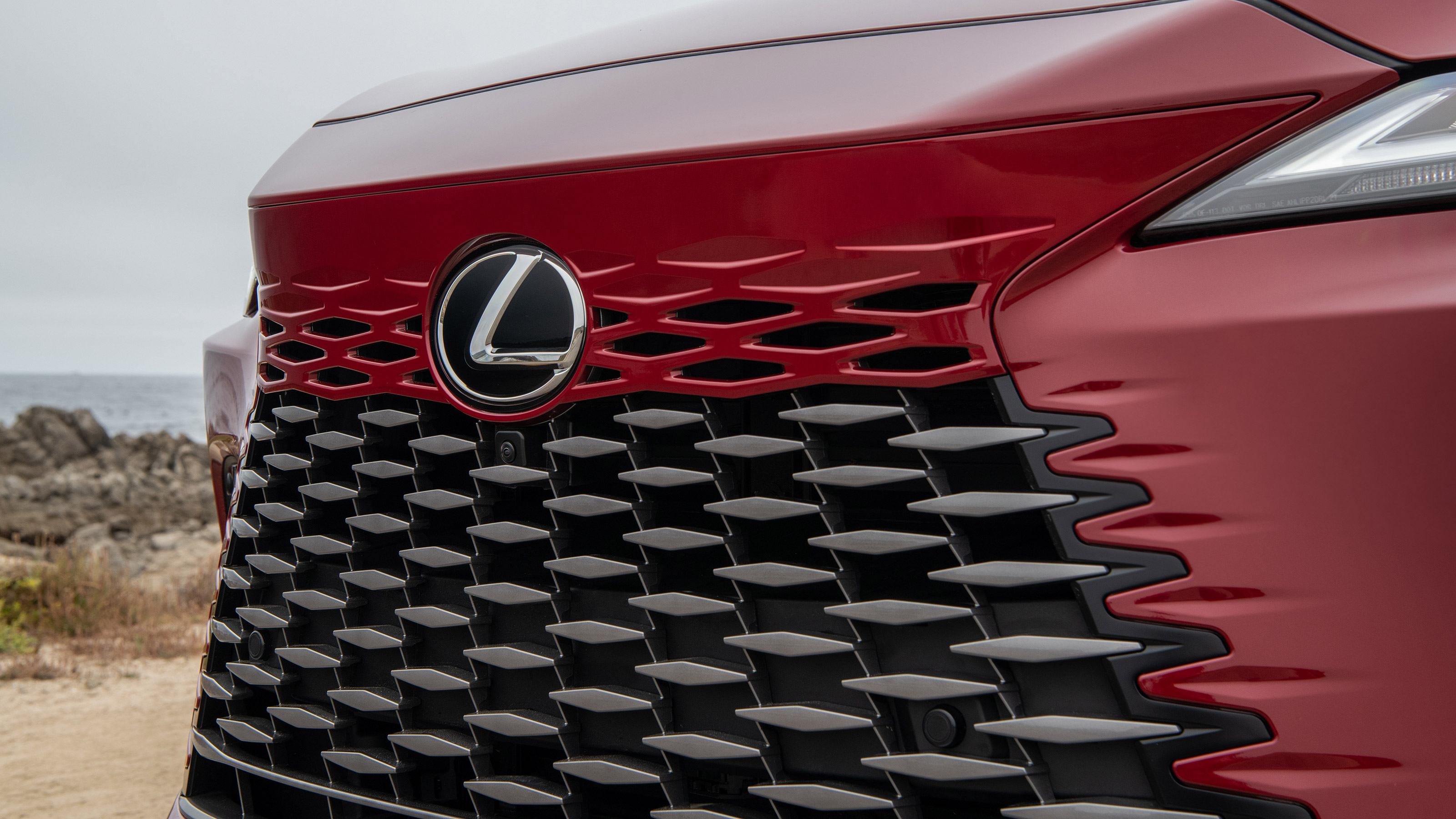 Lexus RX 350h - grille