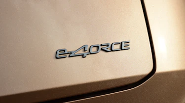 Nissan Ariya e-4ORCE - e-4ORCE badge