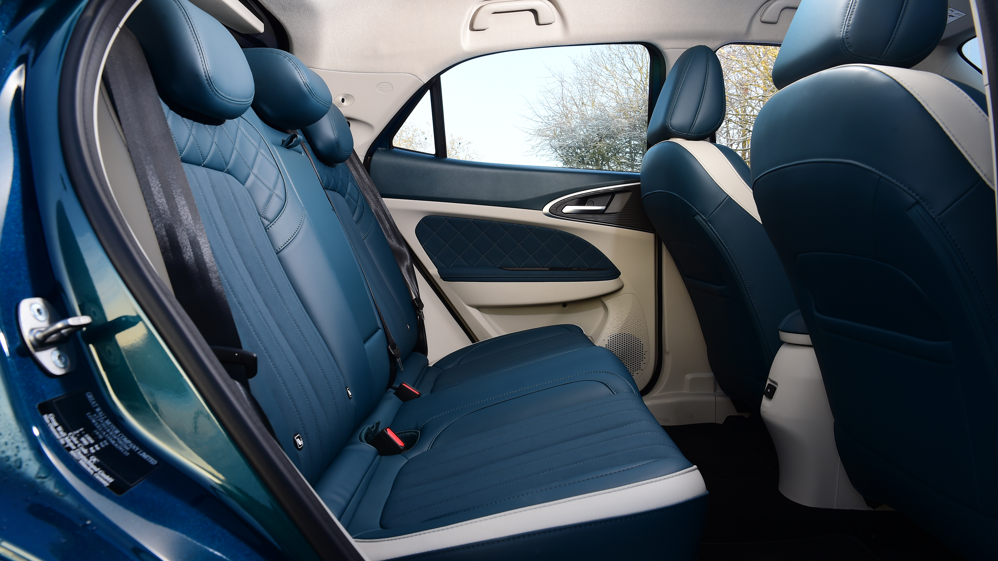 Ora Funky Cat - rear seats