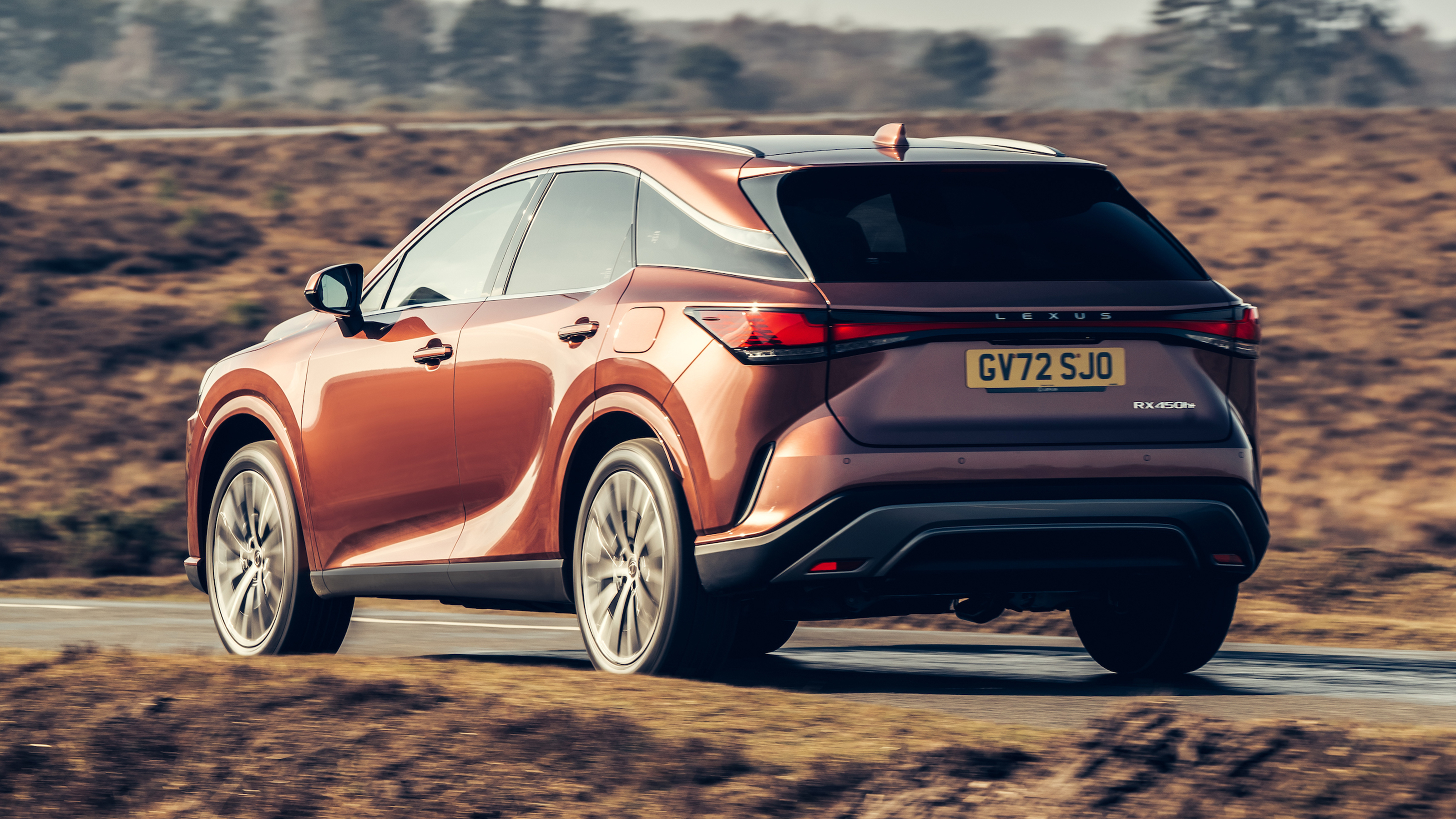 Lexus RX450+ - rear cornering