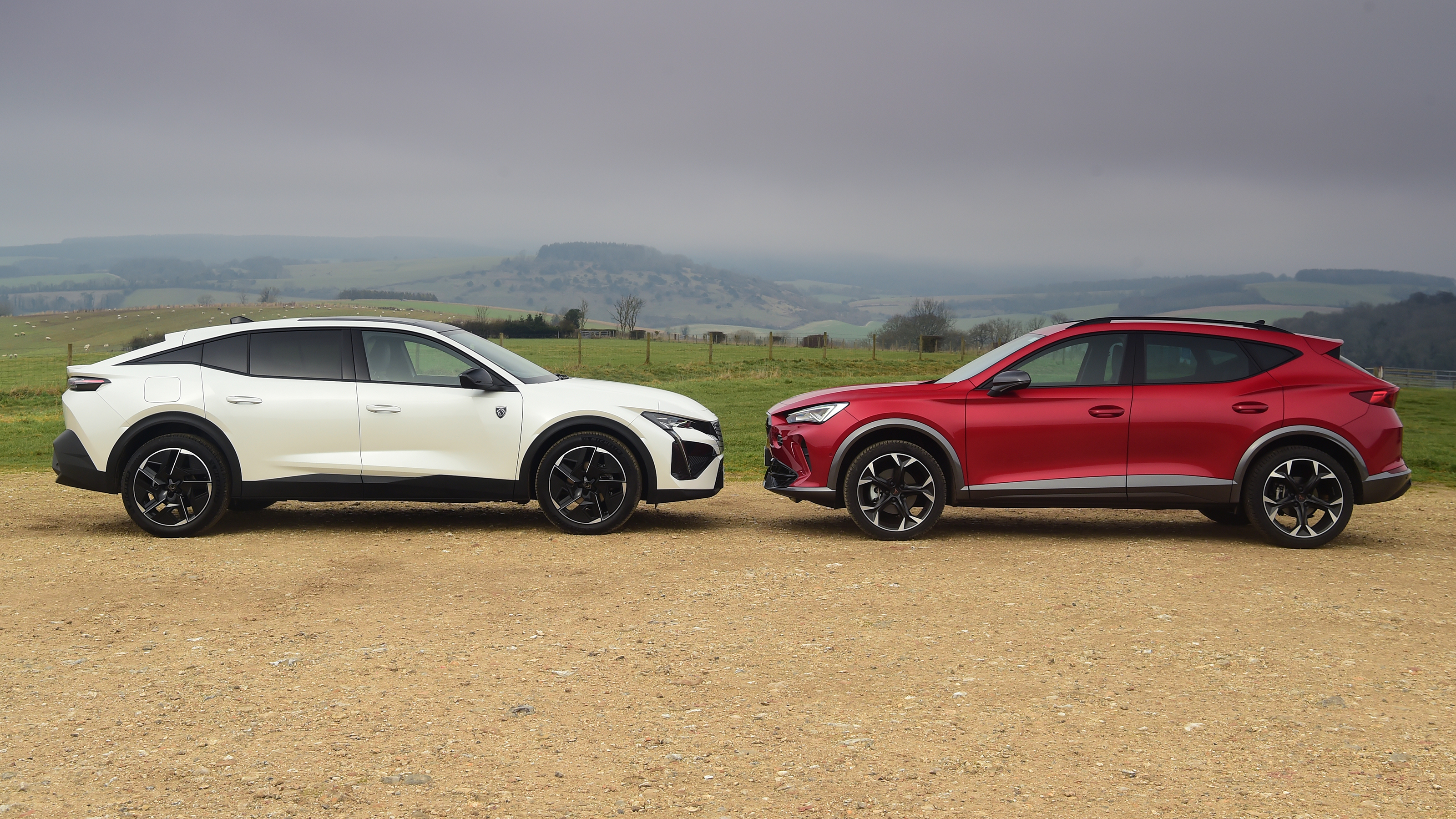 Cupra Formentor and Peugeot 408 - static face-to-face