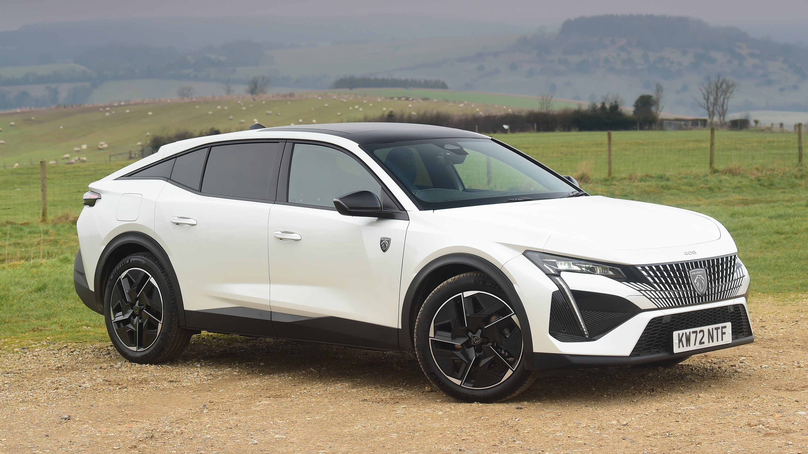 Peugeot 408 - front static
