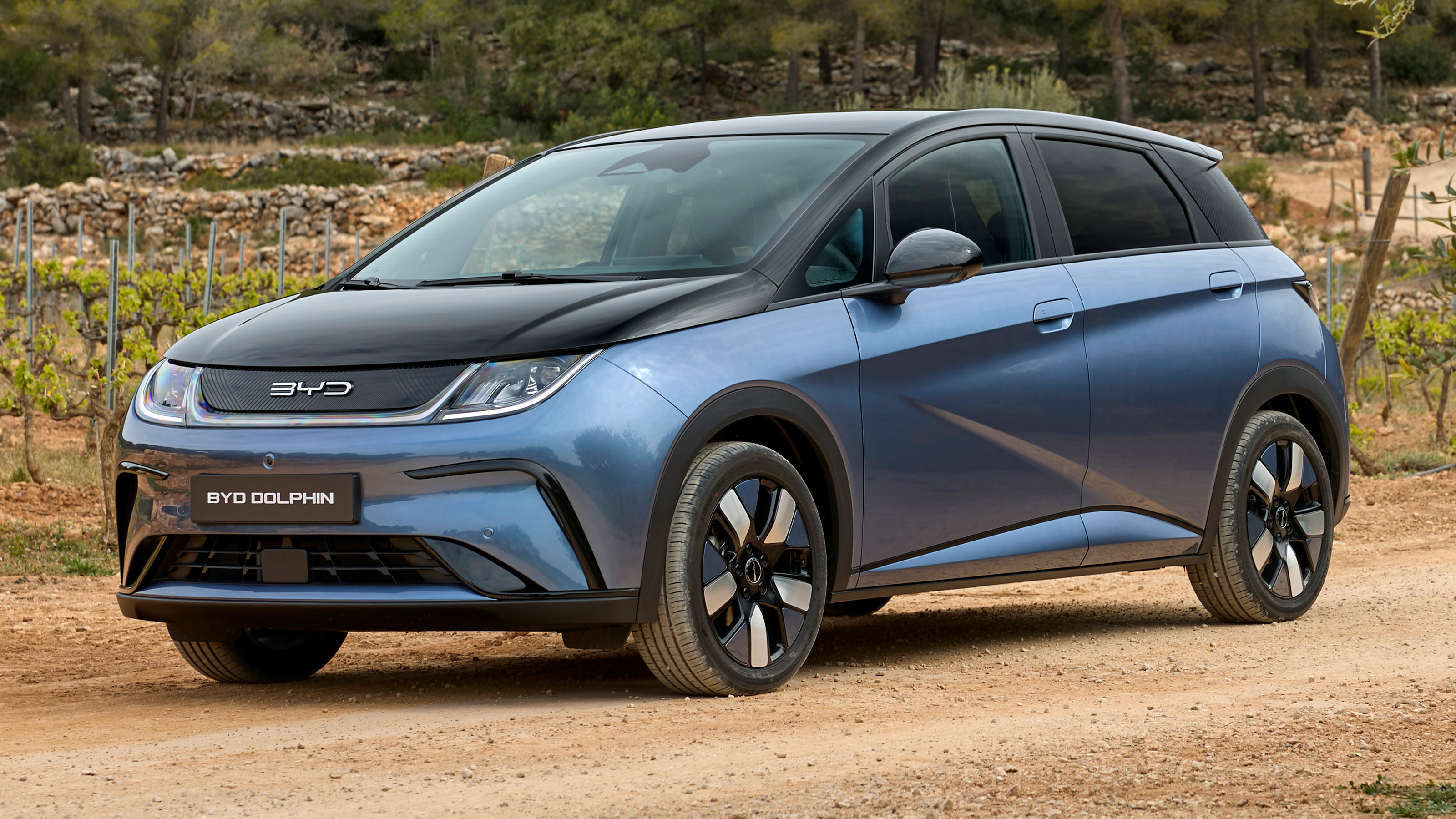 BYD Dolphin - front static