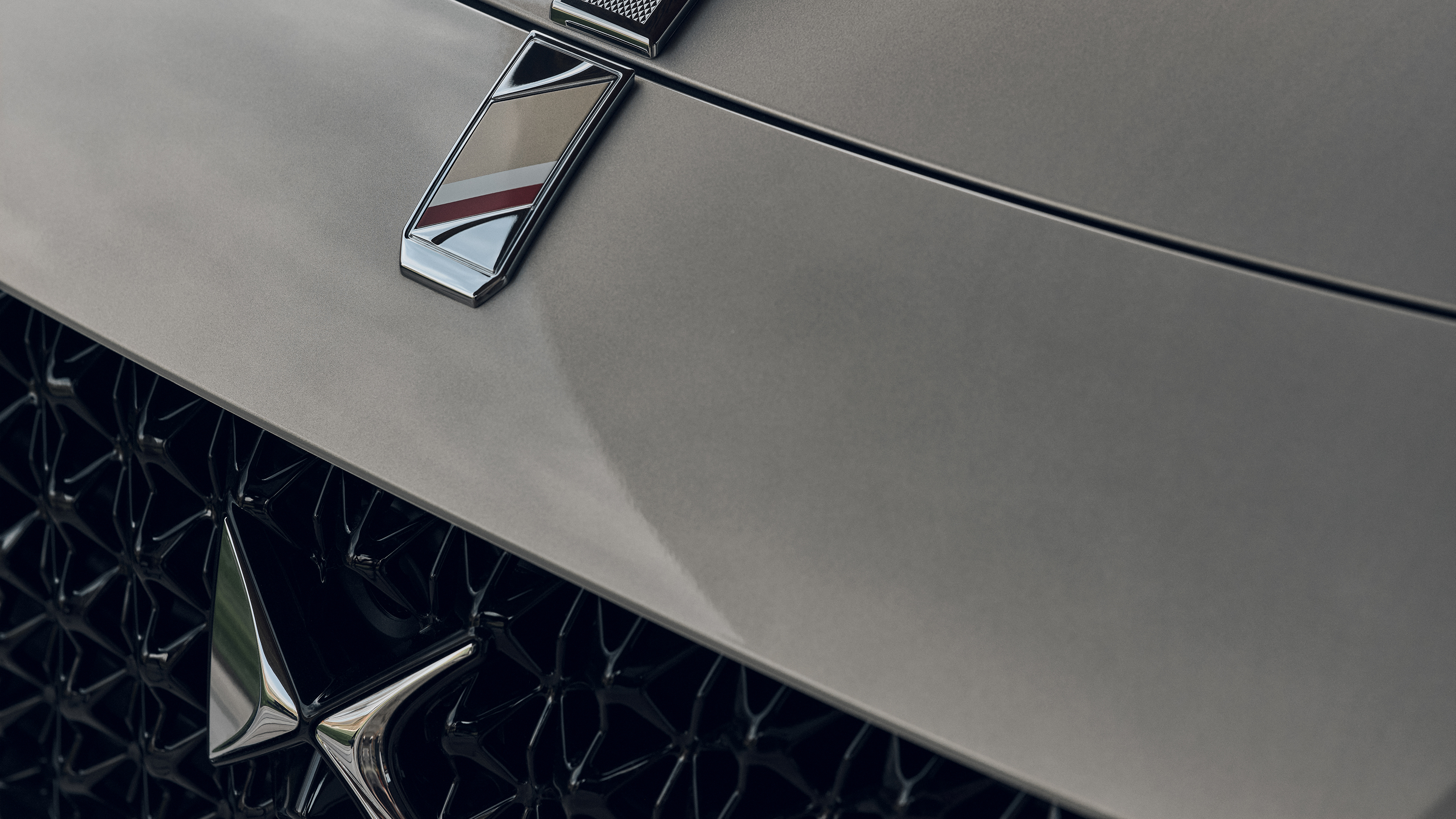 DS 9 - front badging