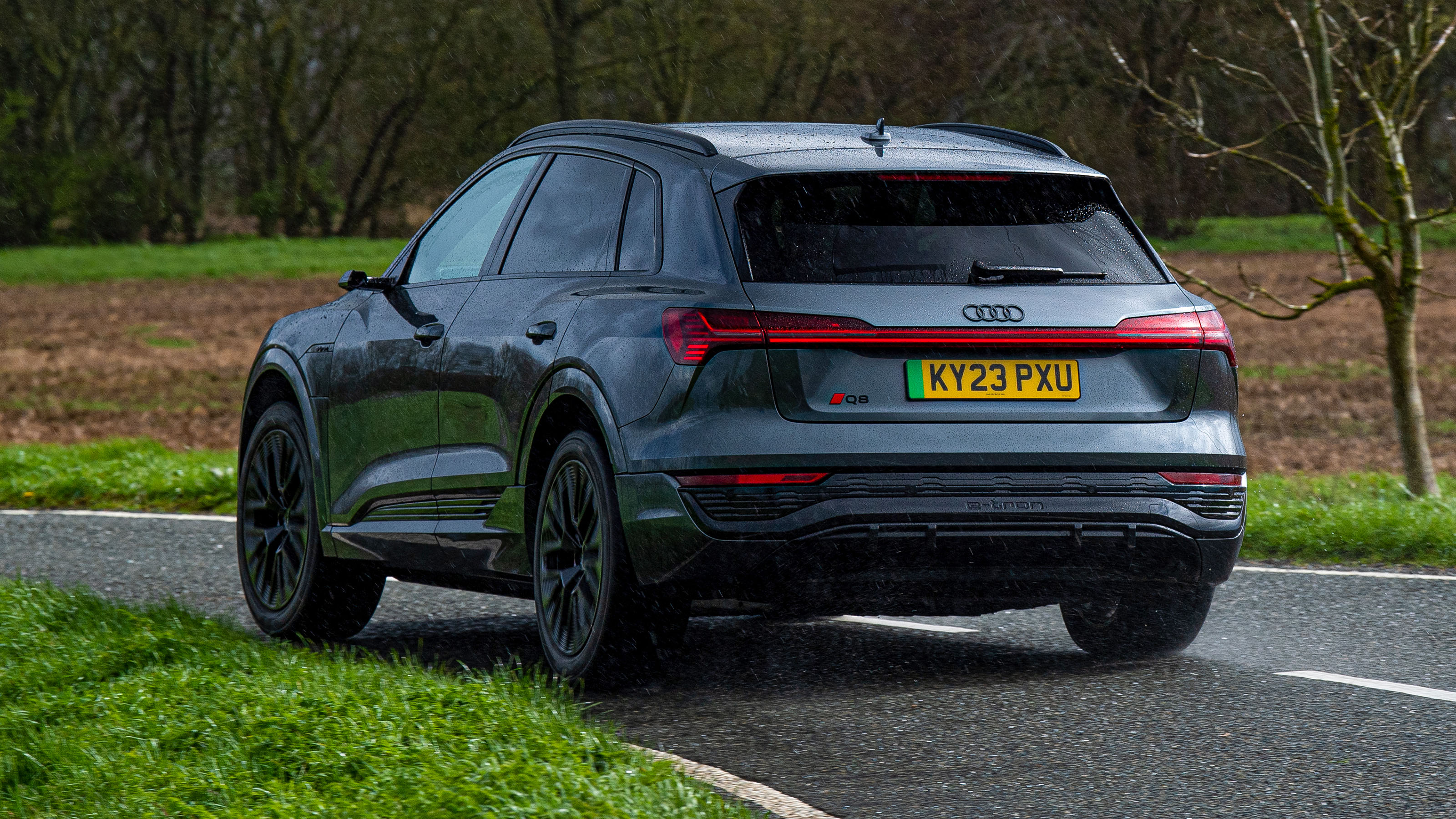 Audi Q8 e-tron - rear cornering