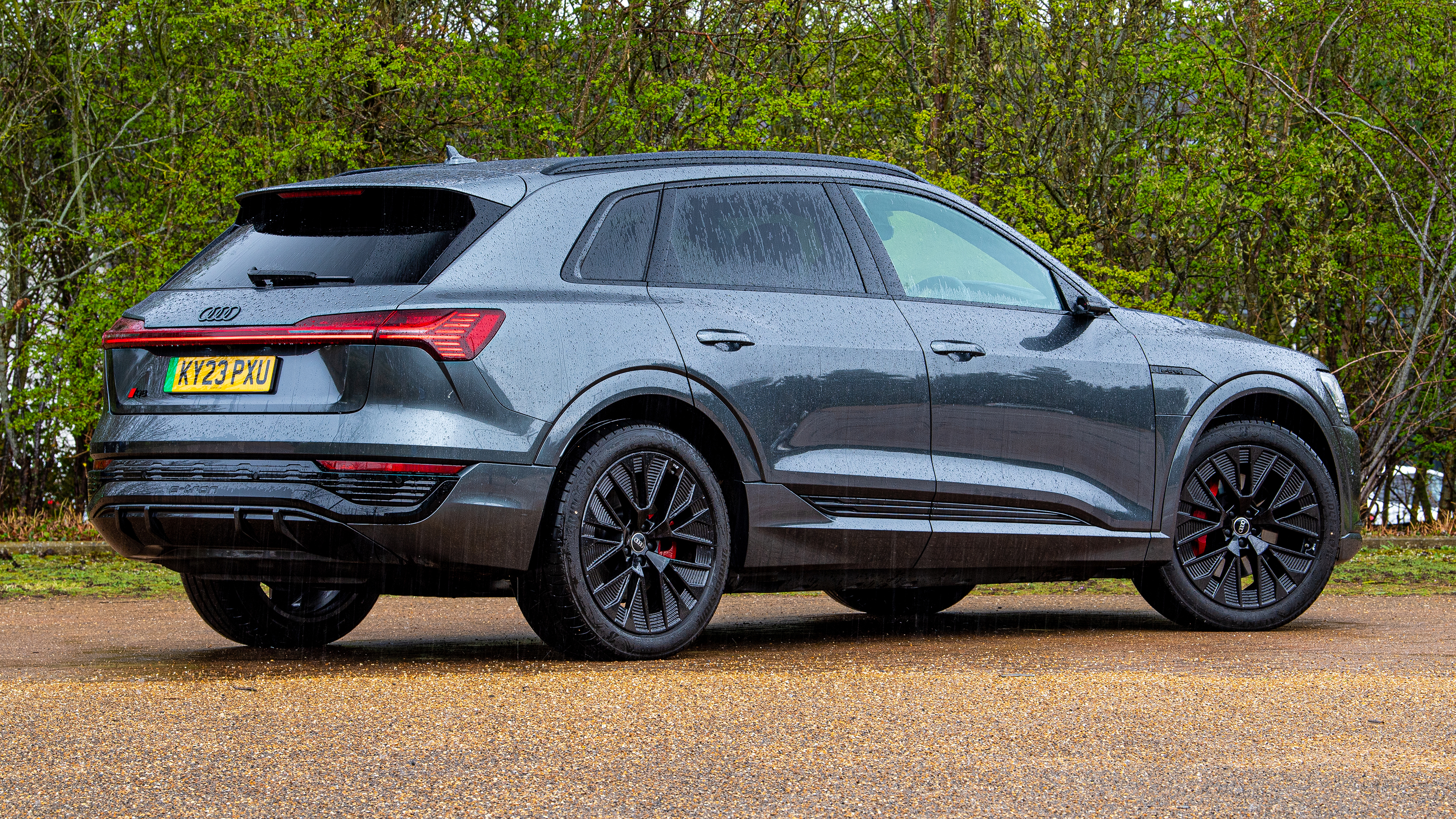 Audi Q8 e-tron - rear static
