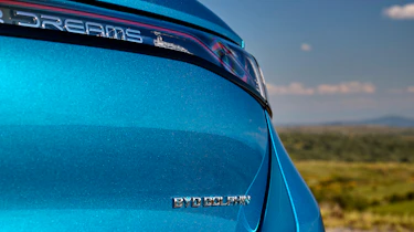 BYD Dolphin - rear badging