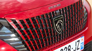 Peugeot e-2008 - grille