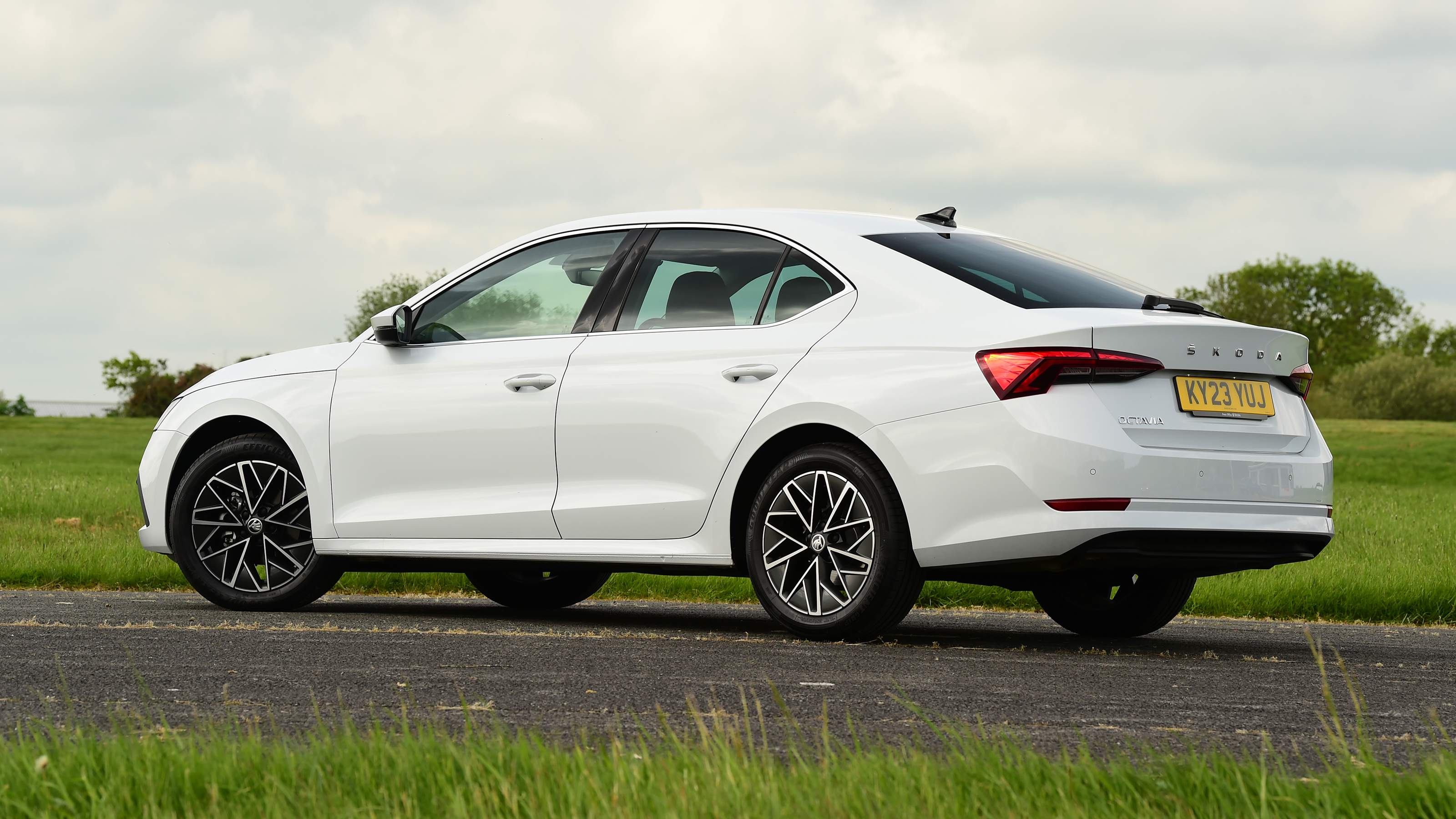 Skoda Octavia - rear static