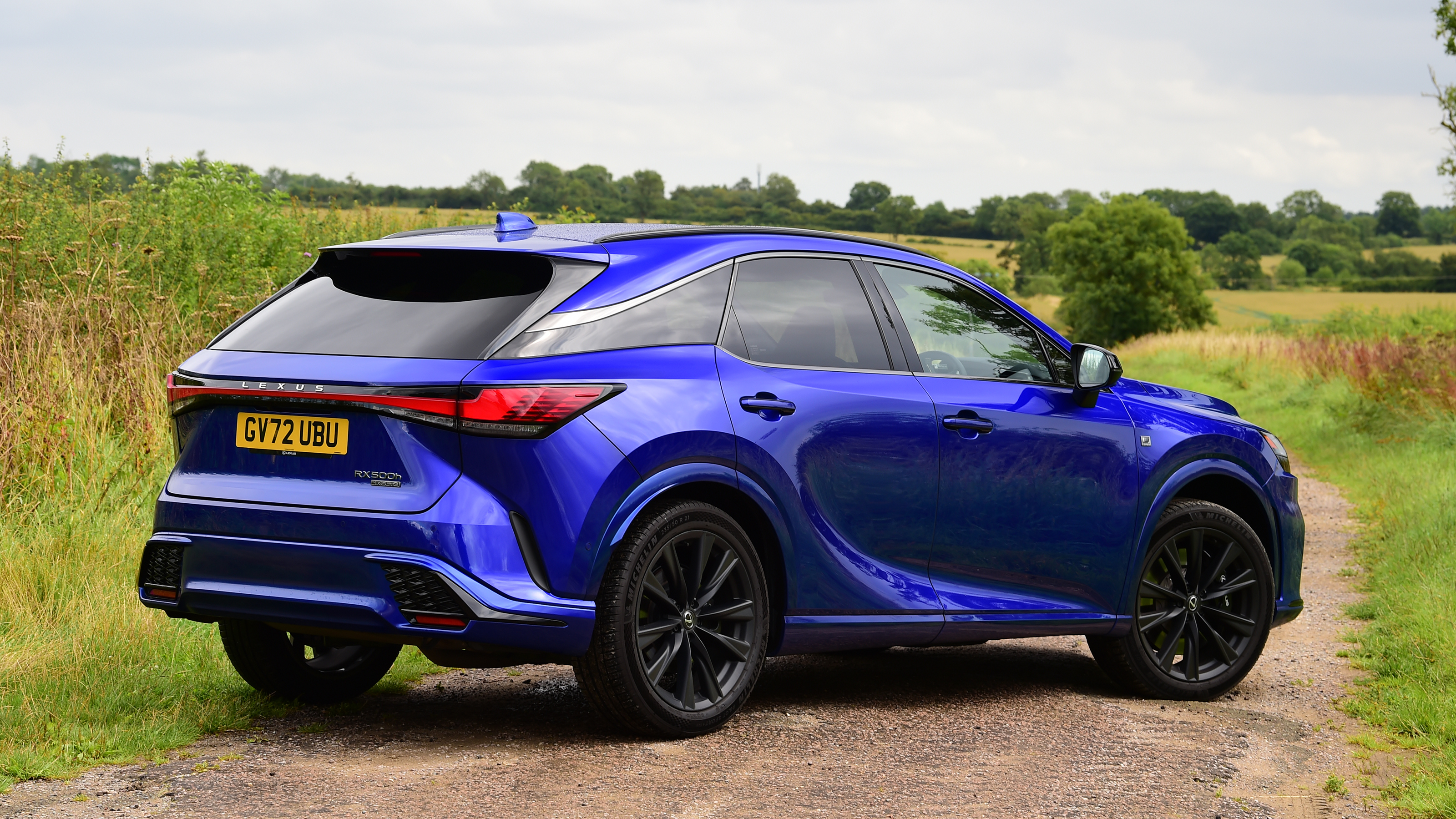 Lexus RX 500h - rear static