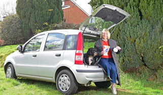 Dog odour remover - teaser