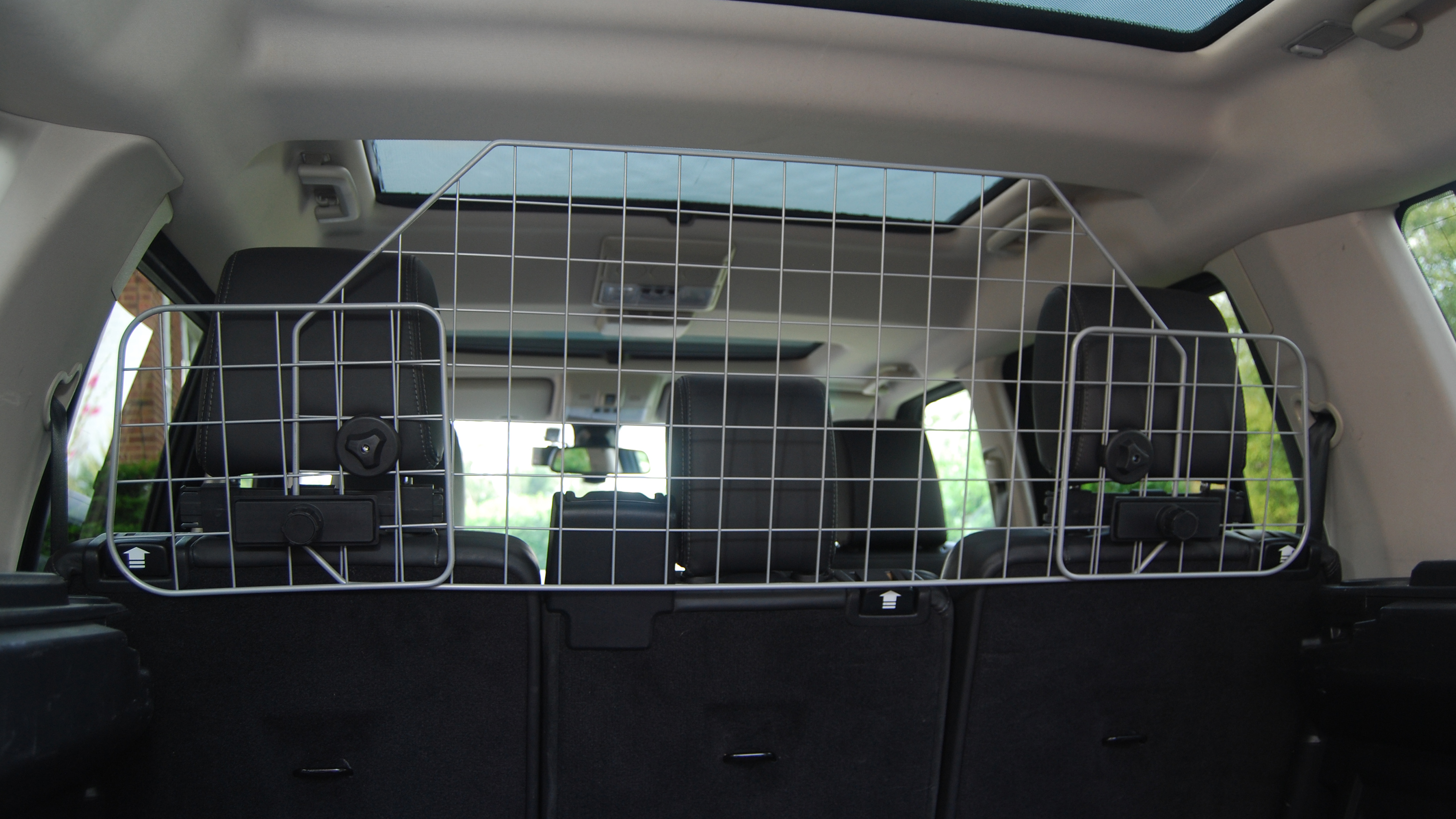 In-car dog guard