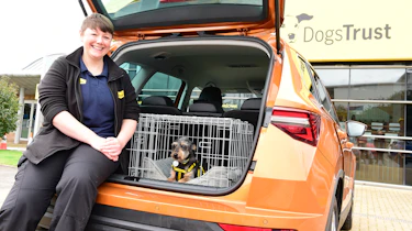 Dogs Trust Volunteer sitting with a dog in a cage located in the boot of a Skoda Karoq