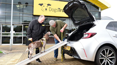 Auto Express current affairs and features editor Chris Rosamond and a Dogs Trust volunteer loading a dog into a Toyota Corolla's boot via a ramp