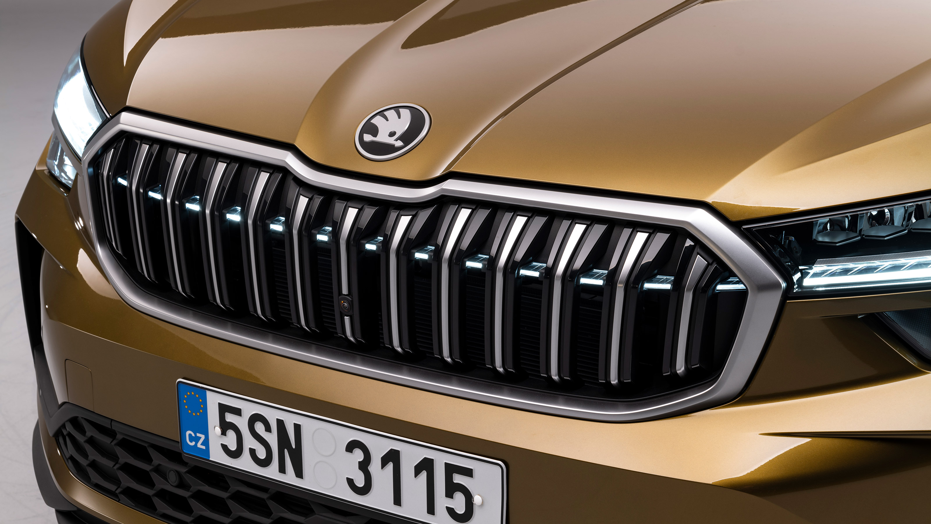 Skoda Kodiaq - grille