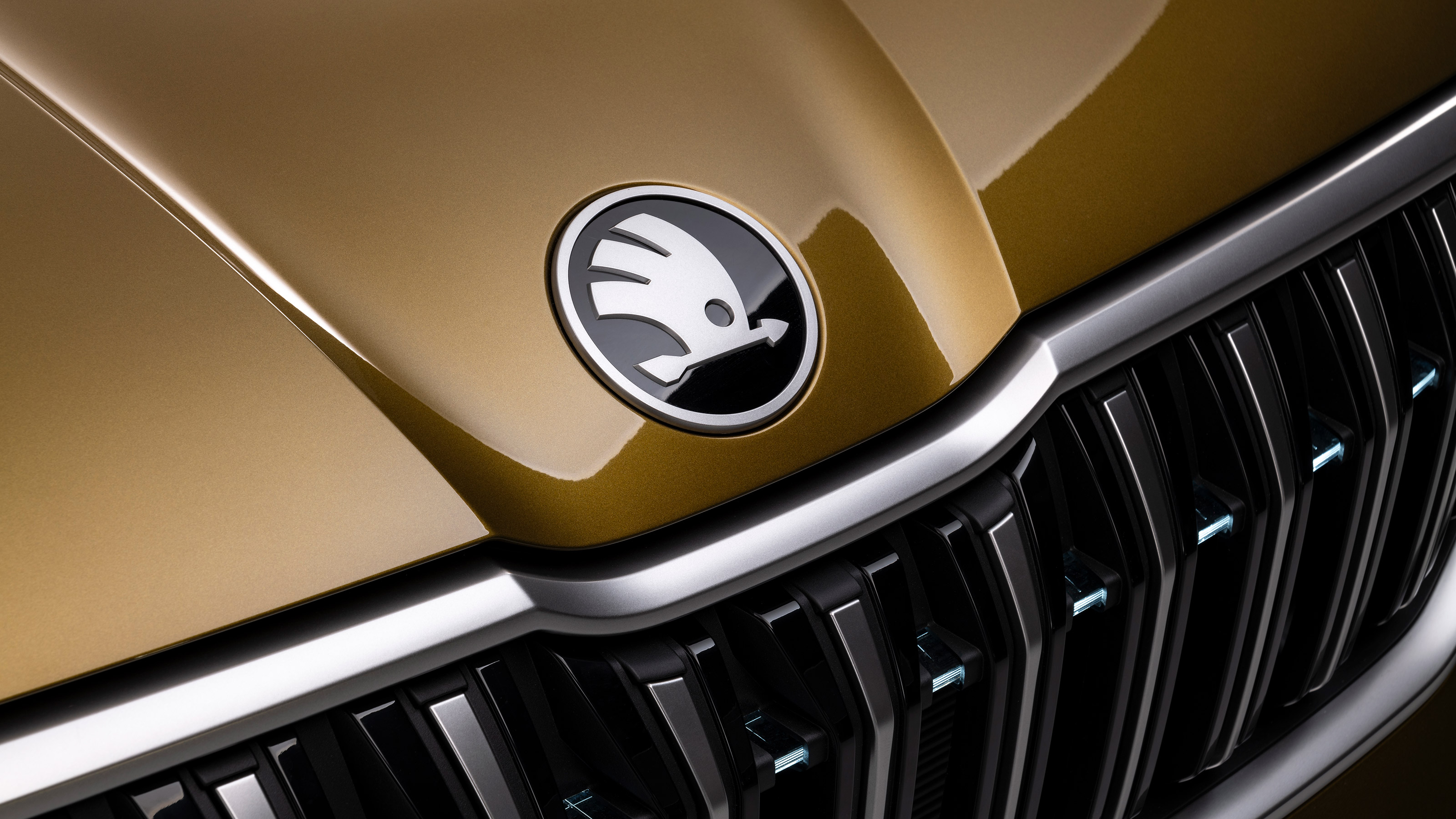 Skoda Kodiaq - badge