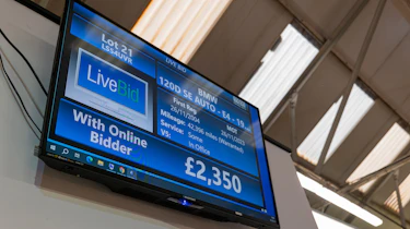 Auction information screen