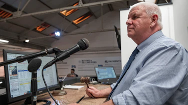 Jim Ronan working as auctioneer