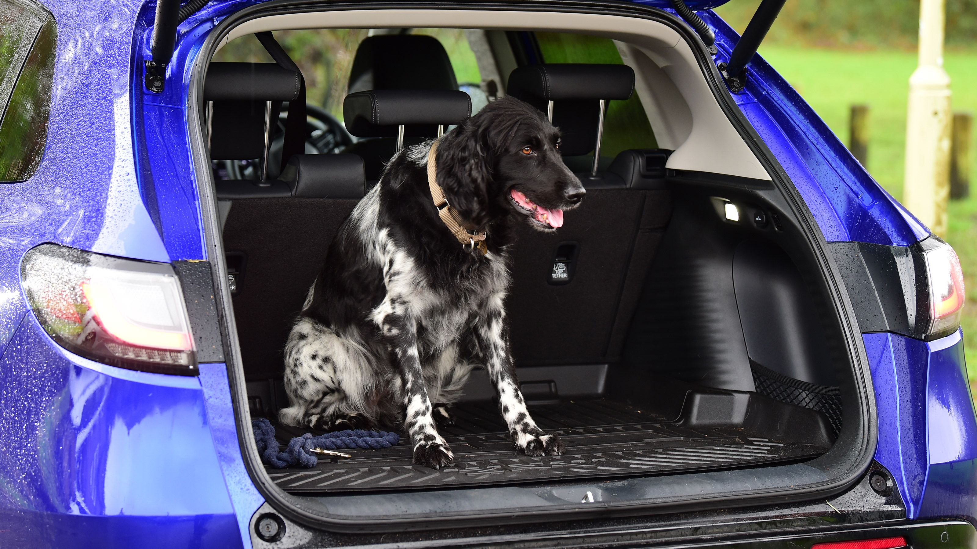 Honda ZR-V eHEV Sport long termer - dog
