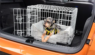 Dogs in cars - cage