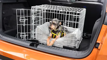 Dogs in cars - cage