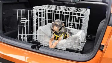 Dogs in cars - cage