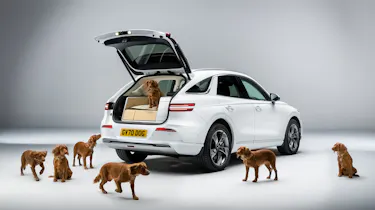 Genesis GV70 X Dog concept