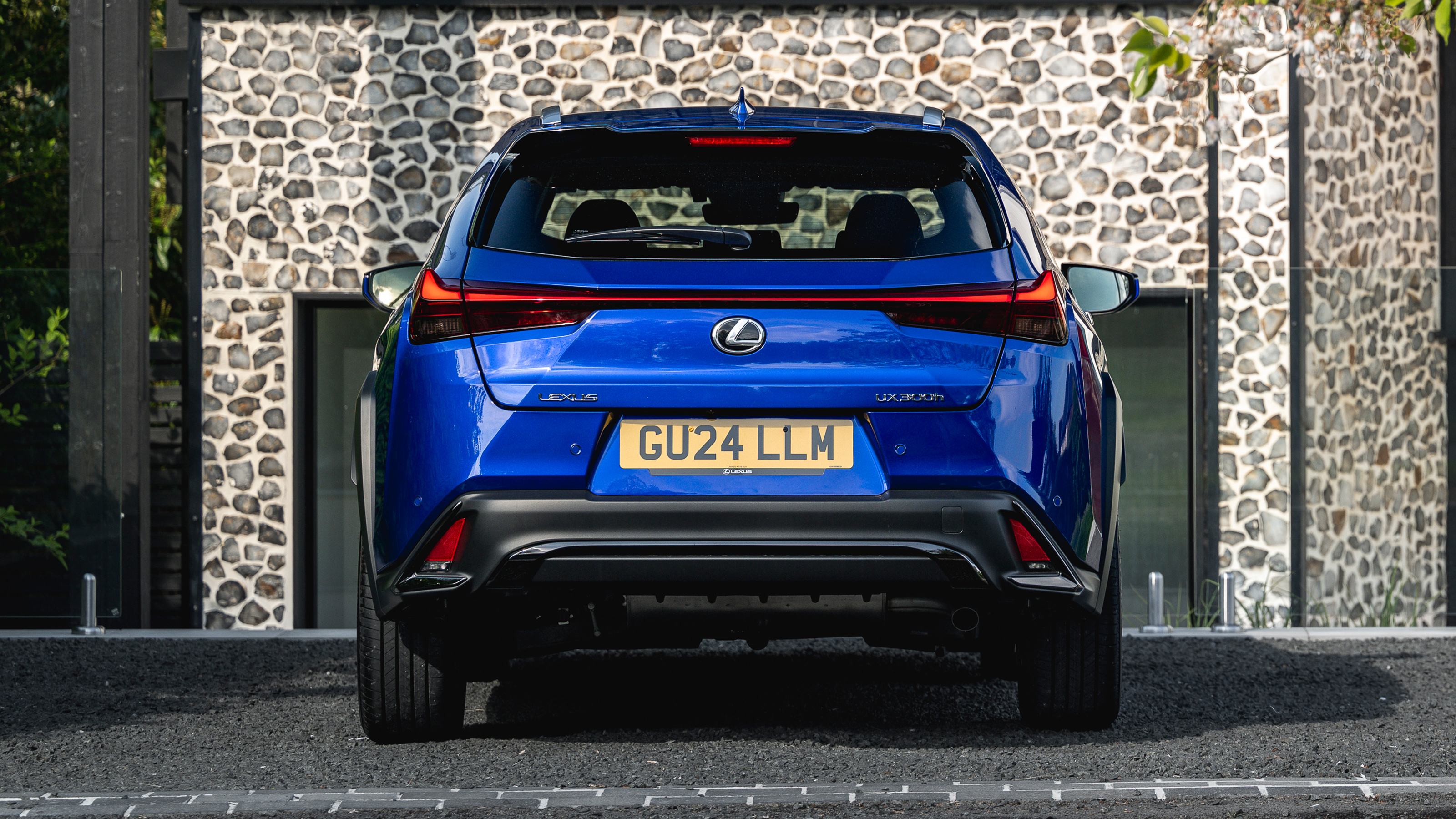 Lexus UX 350h+ F-Sport - rear static