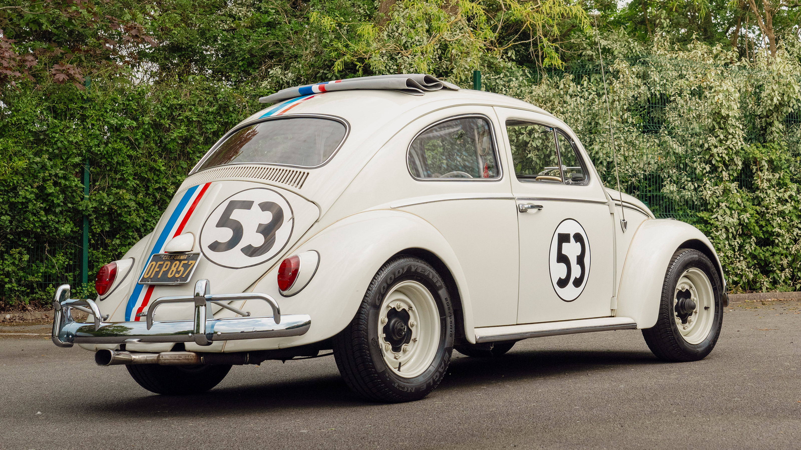 Herbie - rear