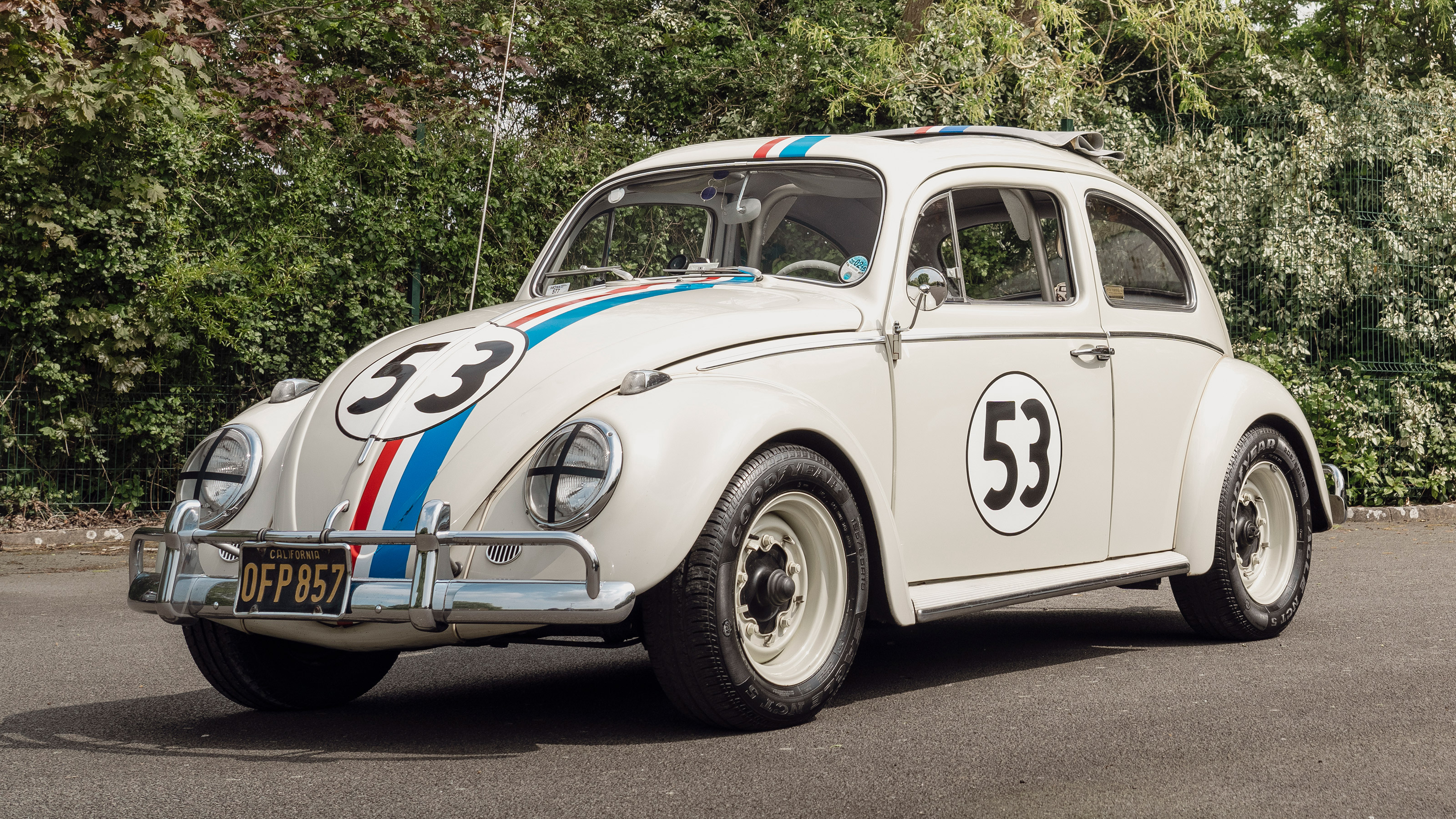 Herbie - front