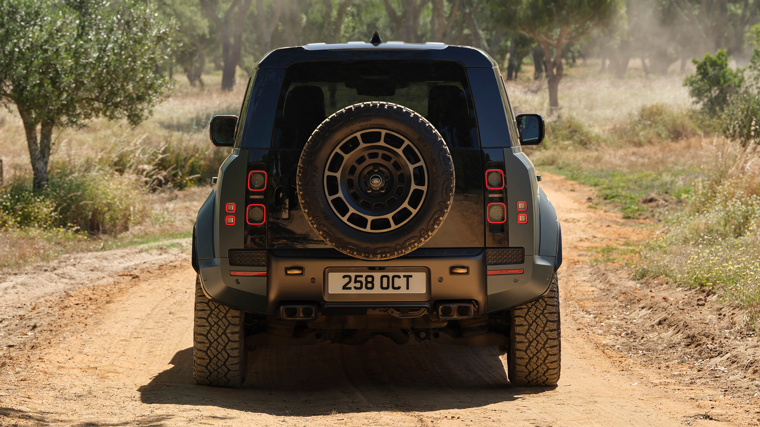 Land Rover Defender Octa - full rear