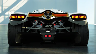 Nilu27 - tail shot